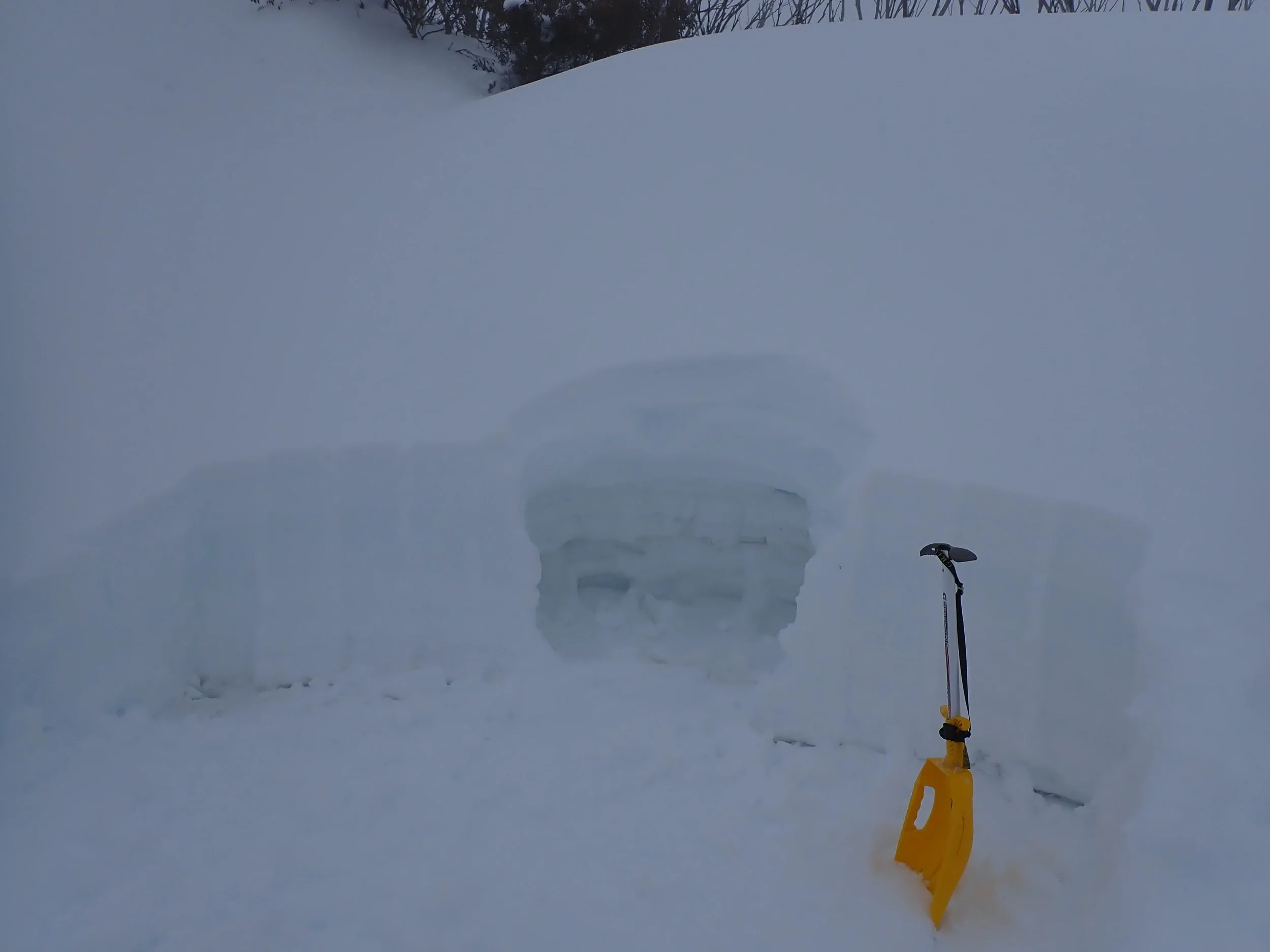 P8200066.JPG