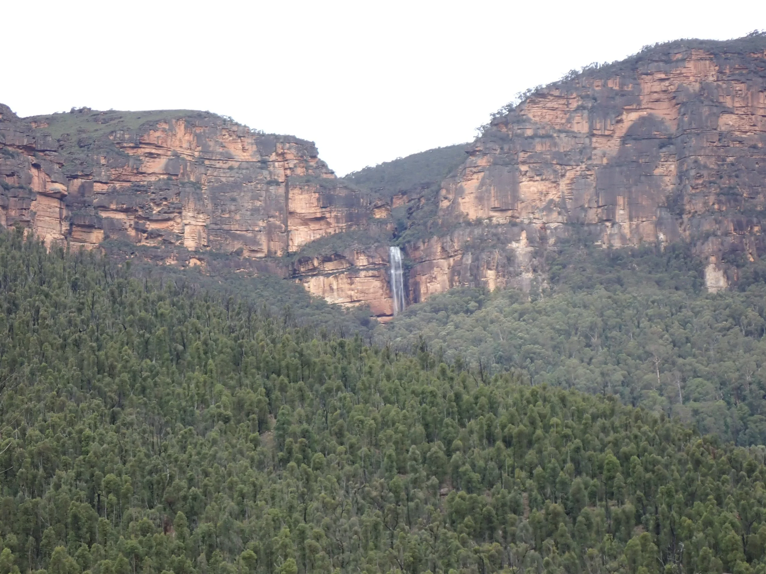 P4020113.JPG