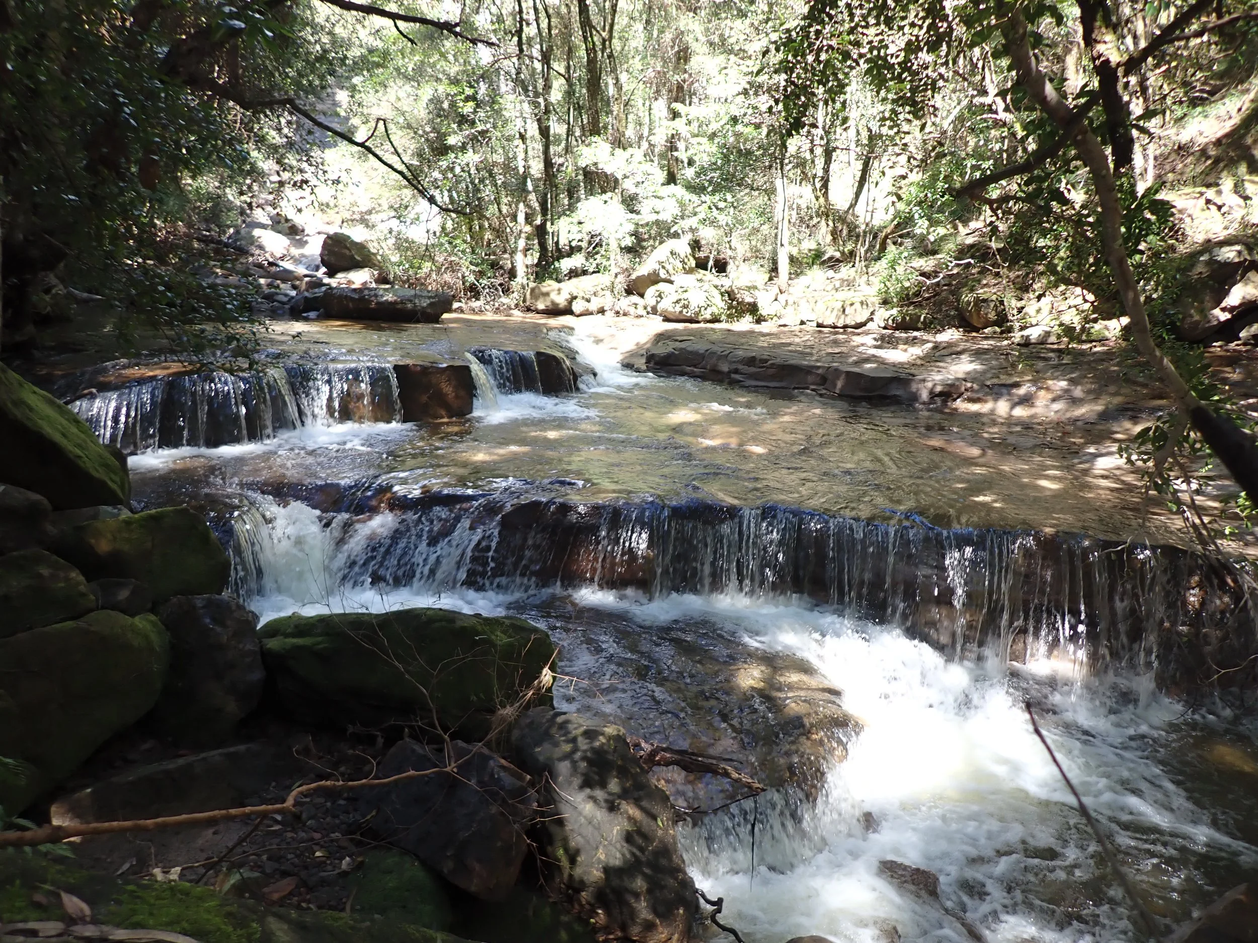 P4030161.JPG