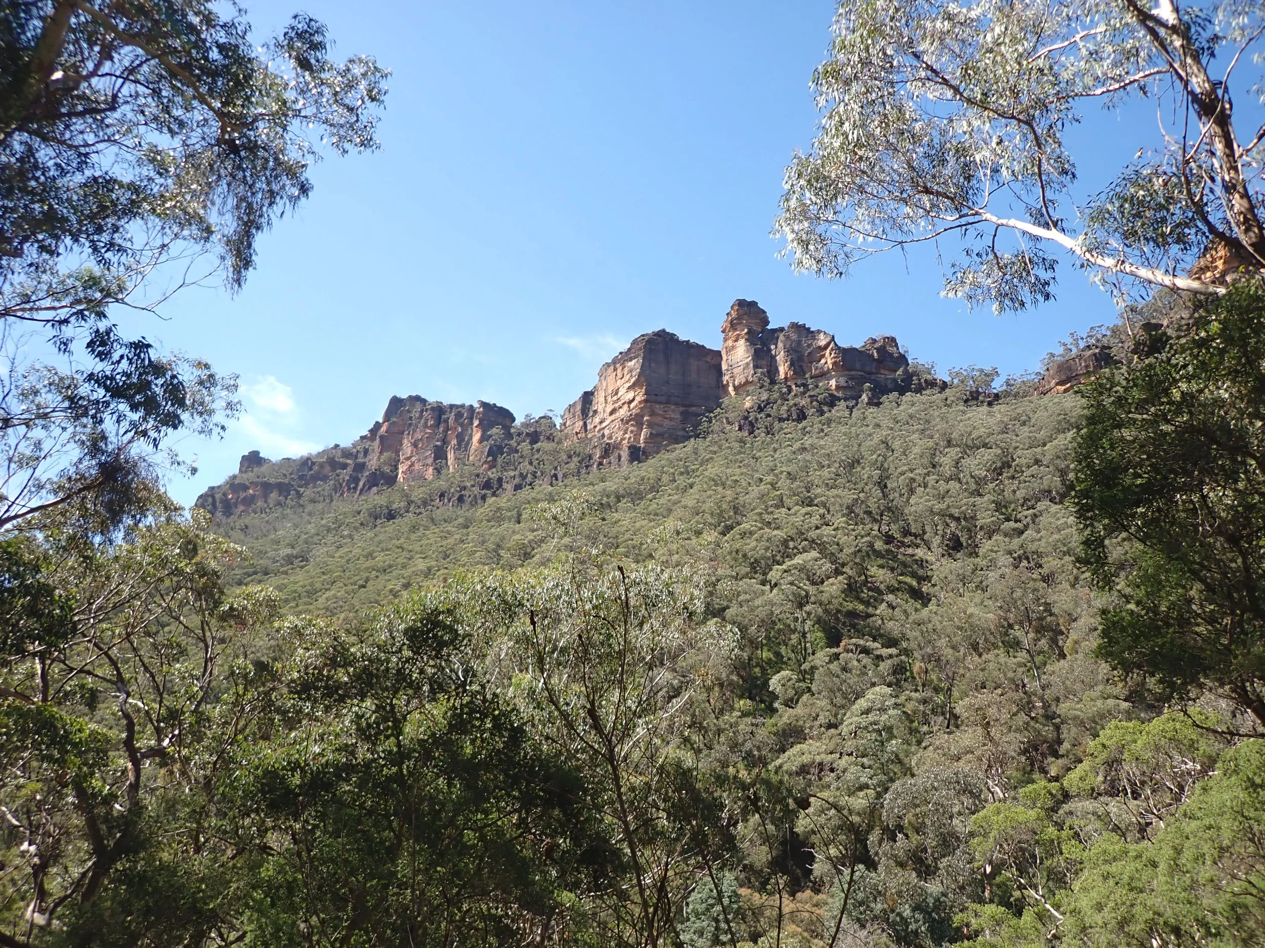P4030180.JPG