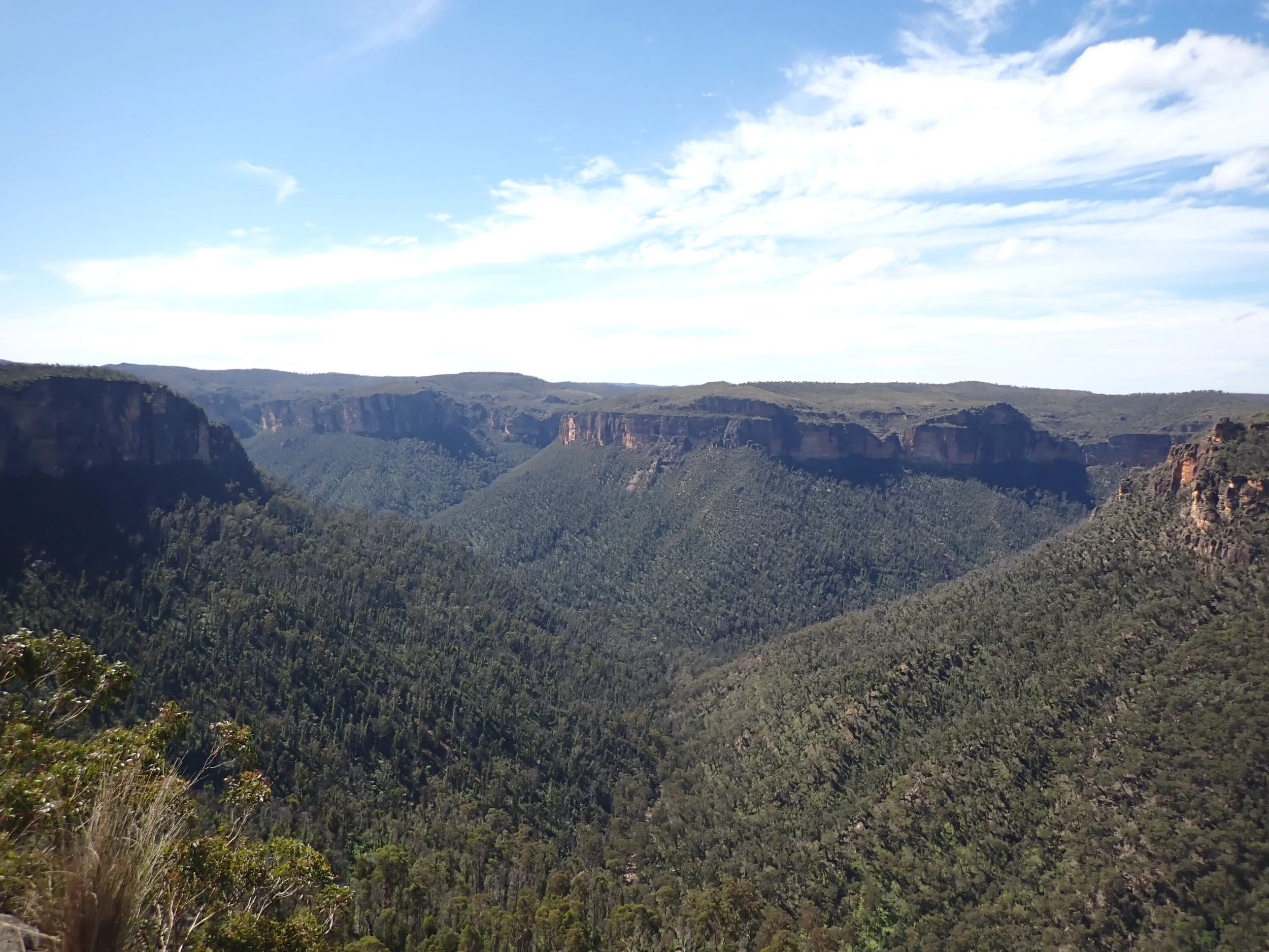 P4030182.JPG