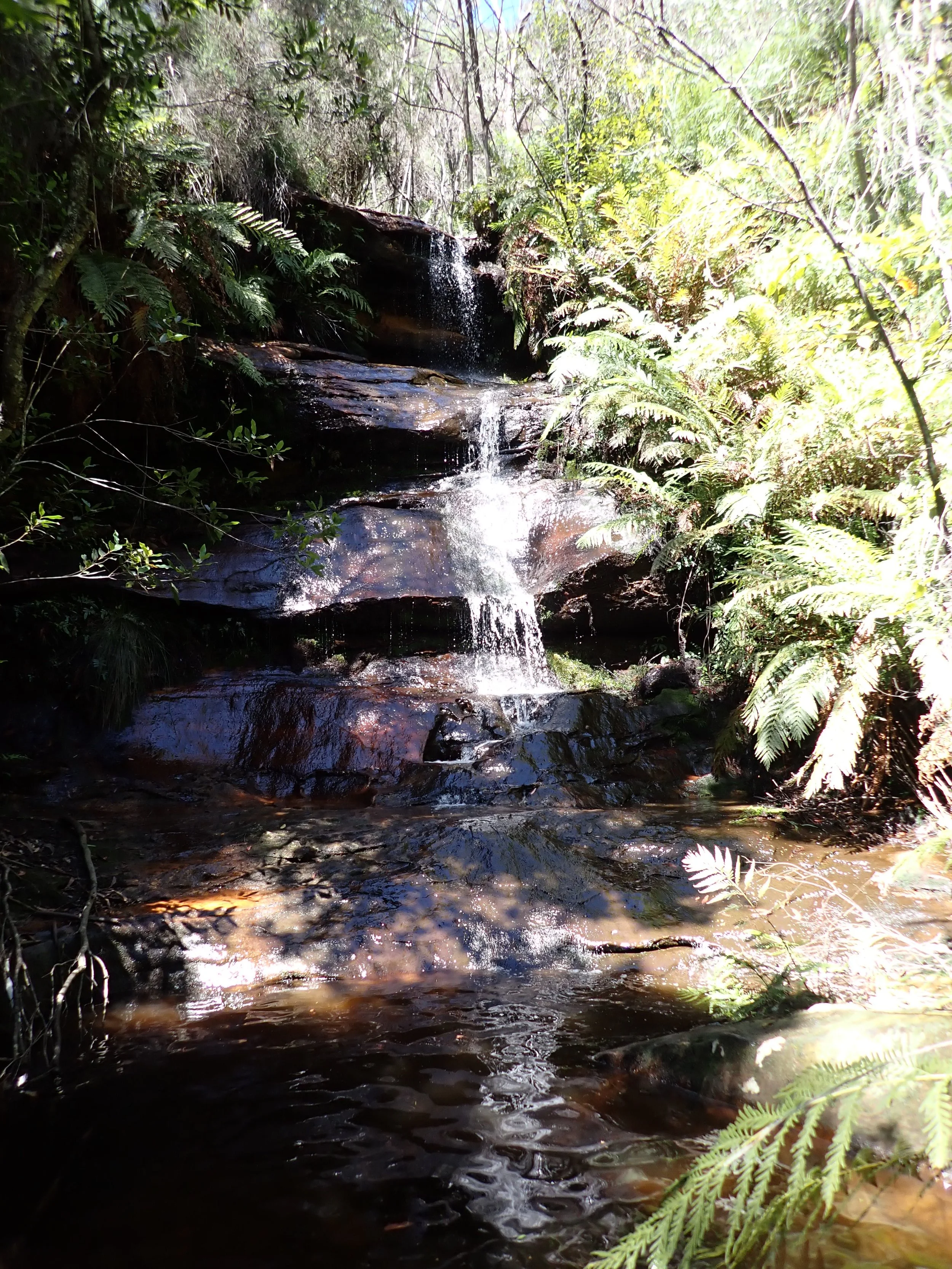 P2040043.JPG