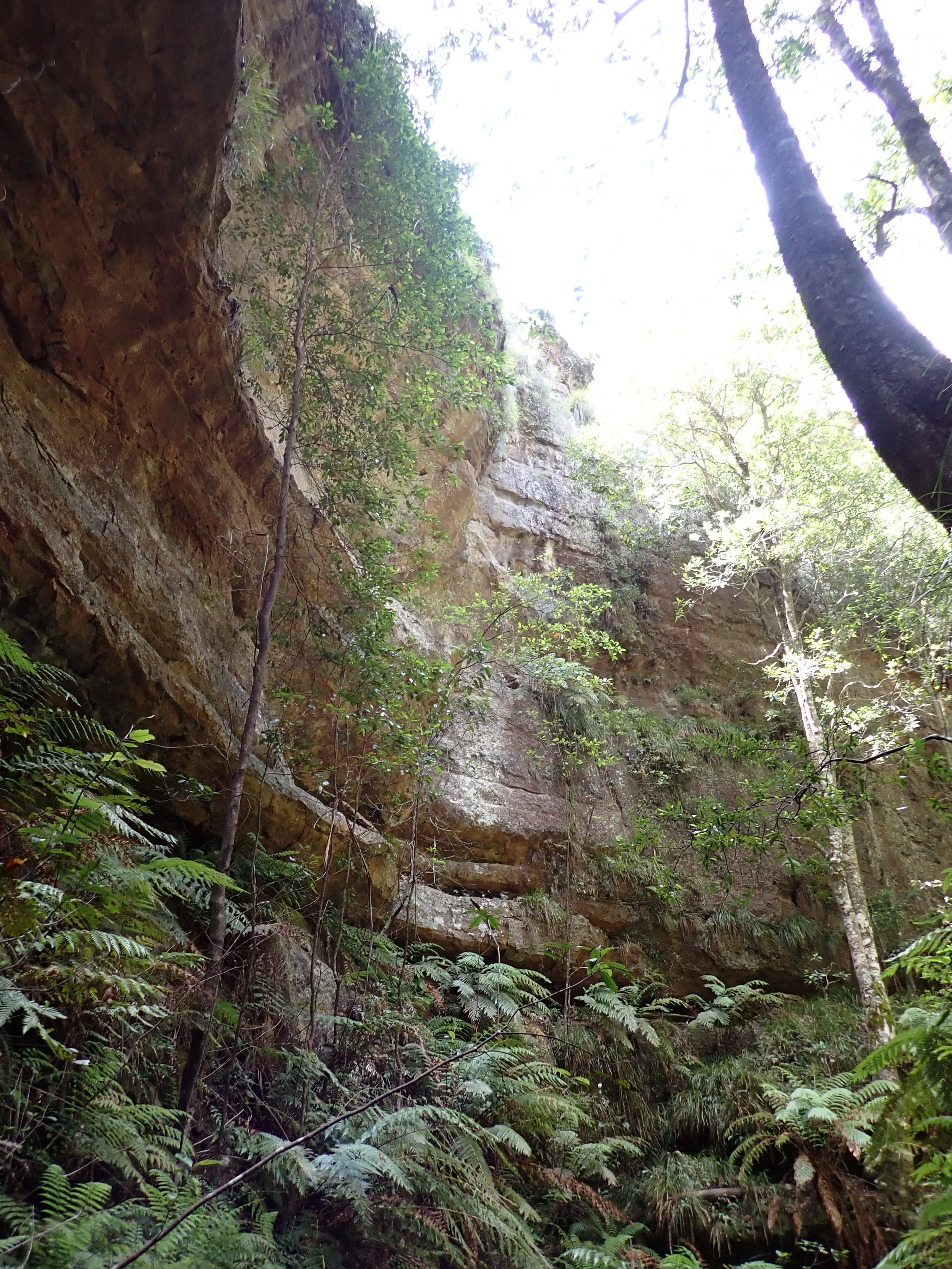 P2040133.JPG