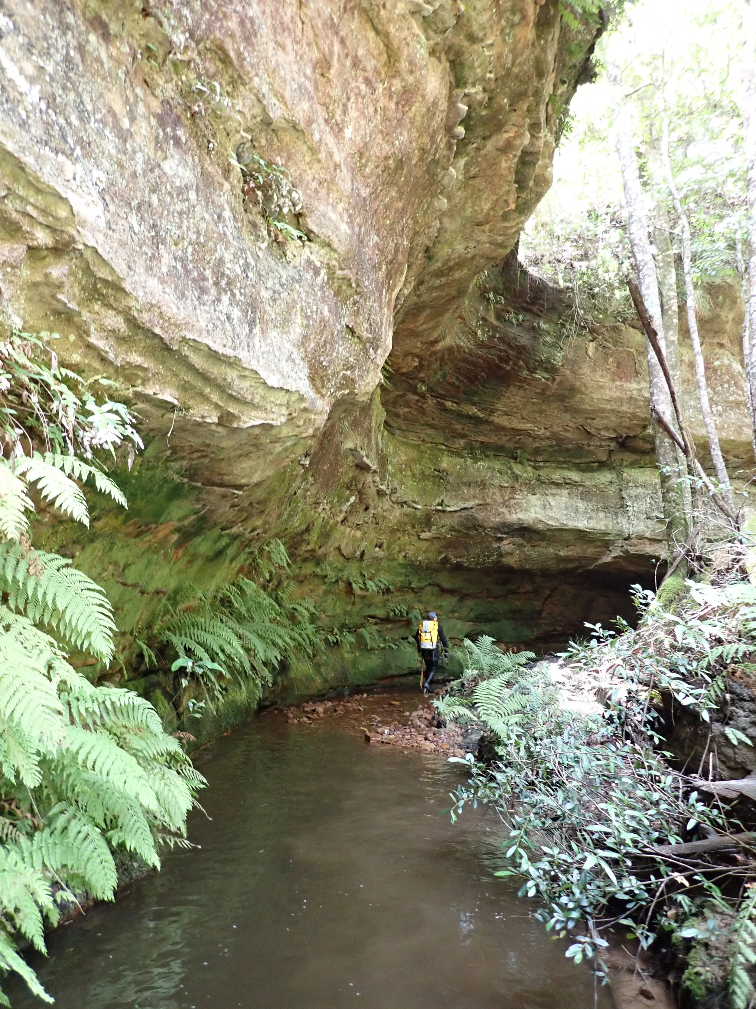 P2040145.JPG