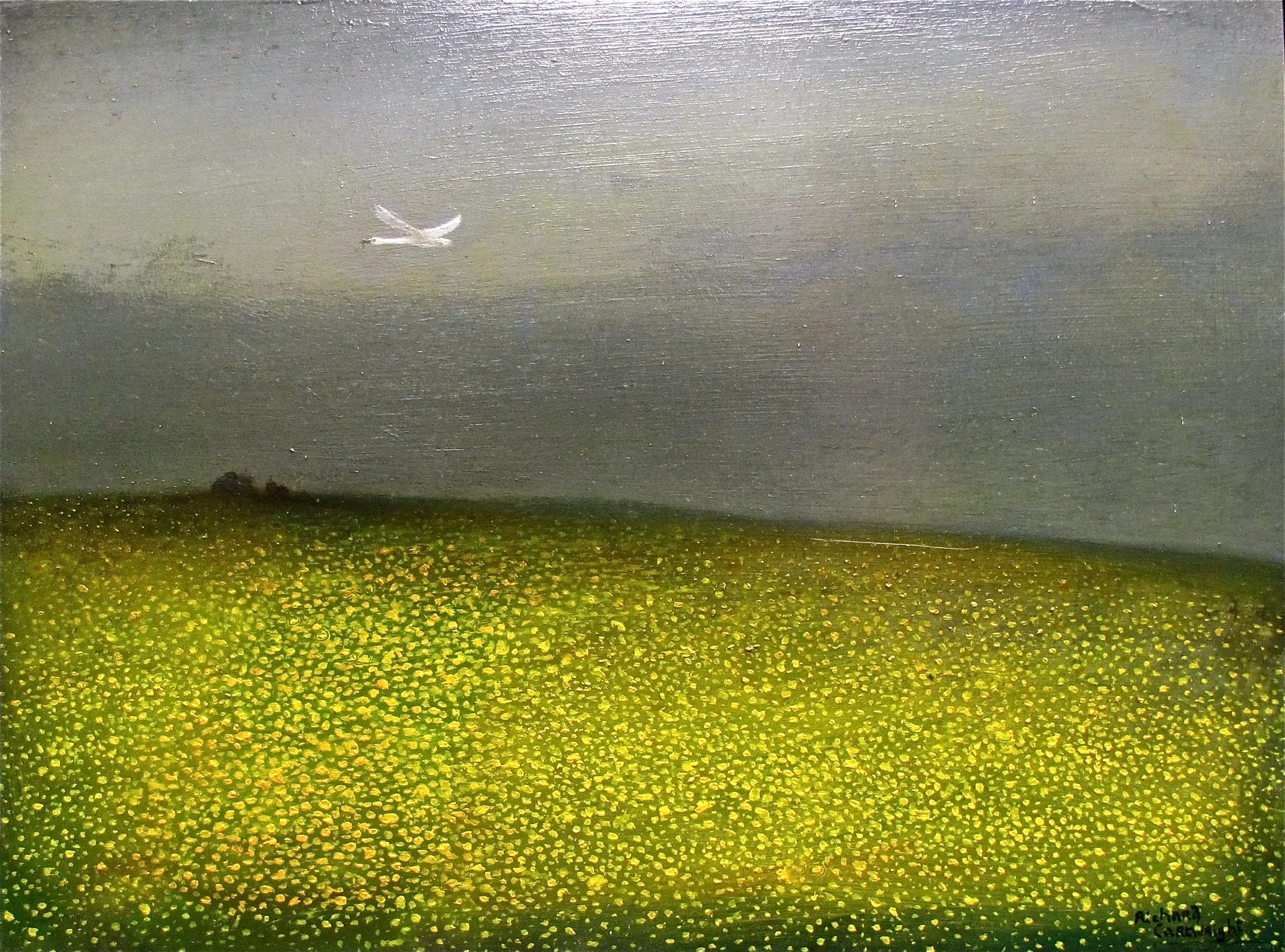 Swan Flying over Buttercups (Sold) Oil on panel