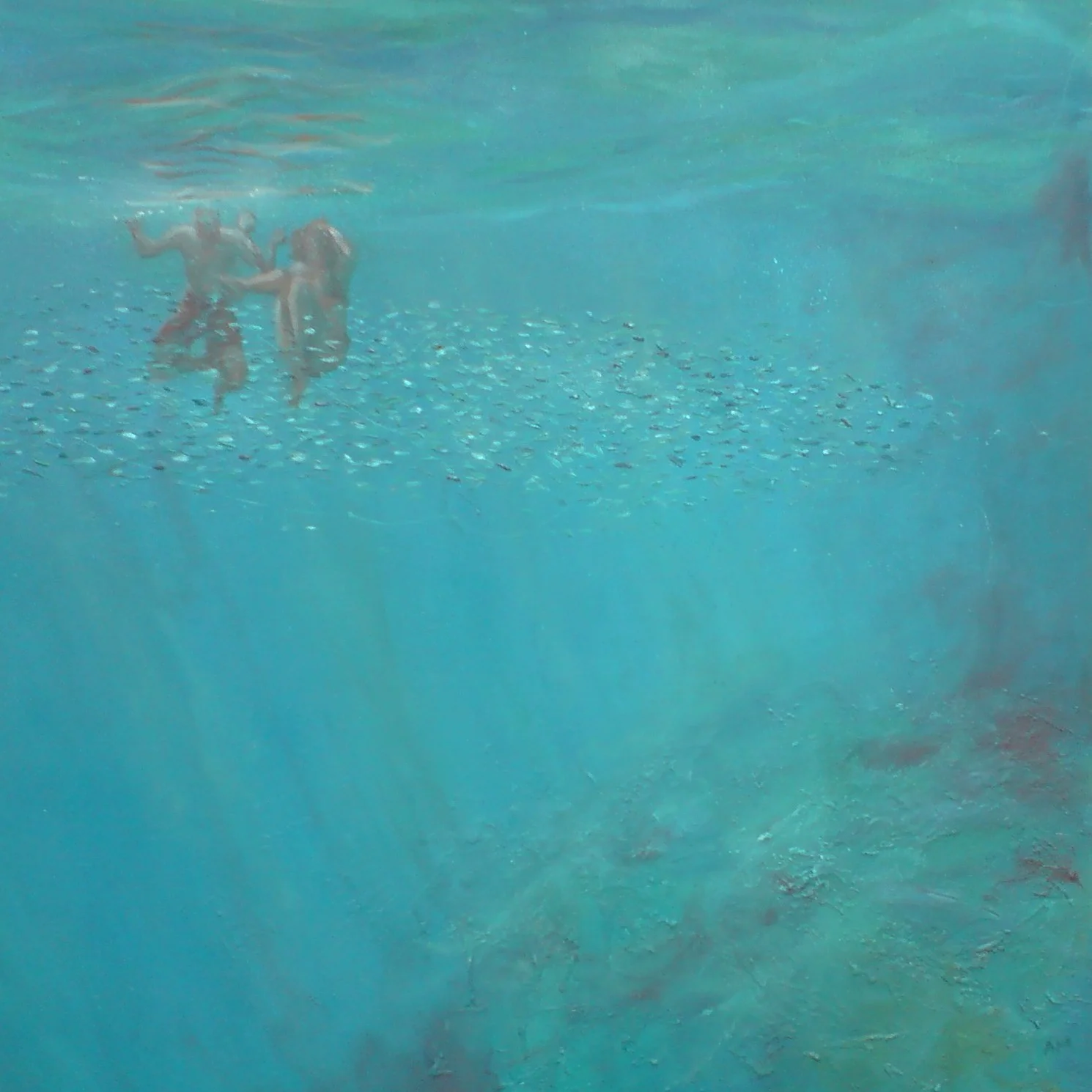 underwater with fish.JPG