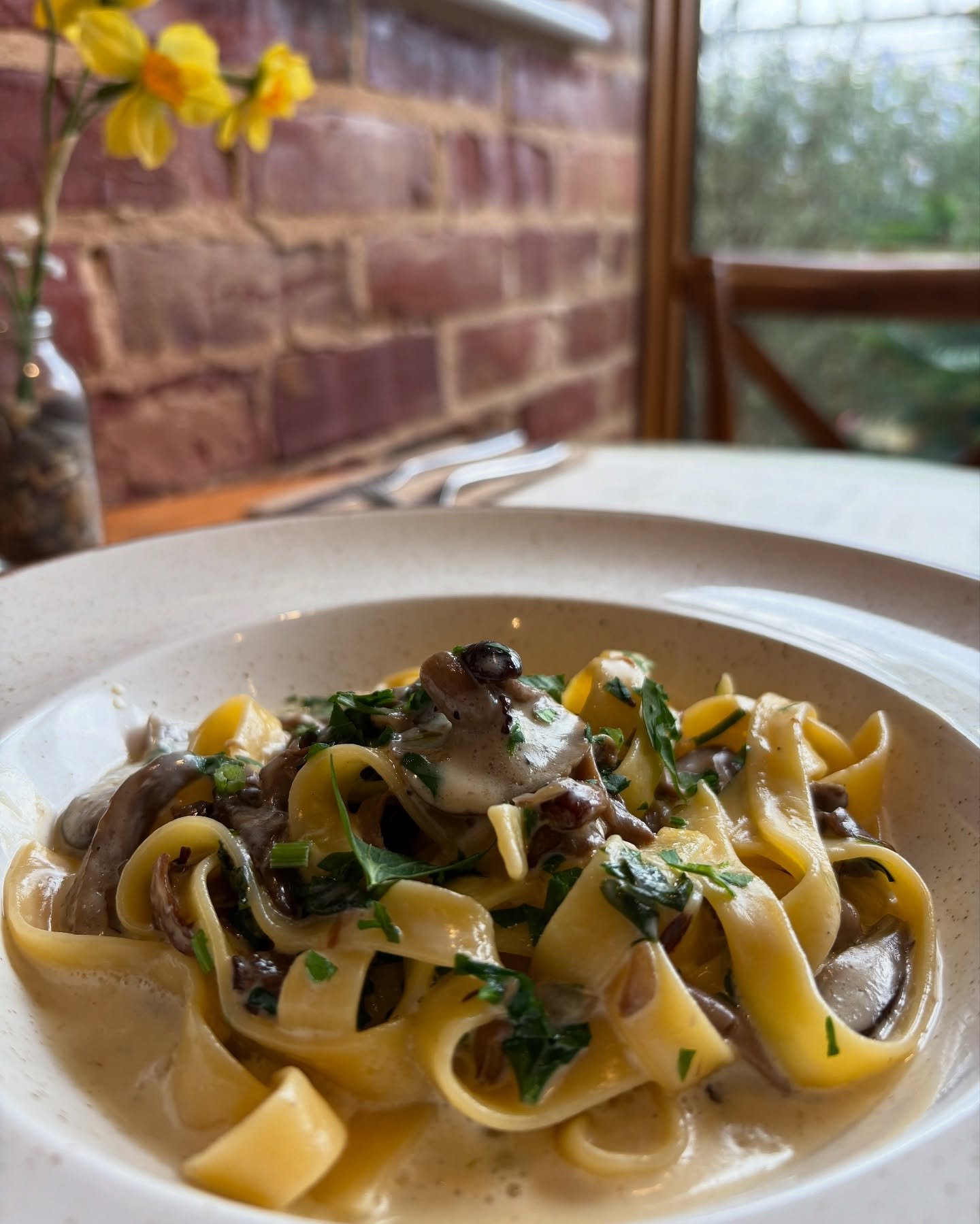 Fettuccine ai funghi is a super flavourful veggie pasta dish enriched with a mix of fresh mushrooms, one of our most popular dishes 🍄&zwj;🟫🍝

#mushrooms #pasta #freshpasta #authenticfood #italianfood #authenticflavors #italianflavors #italy #newfo