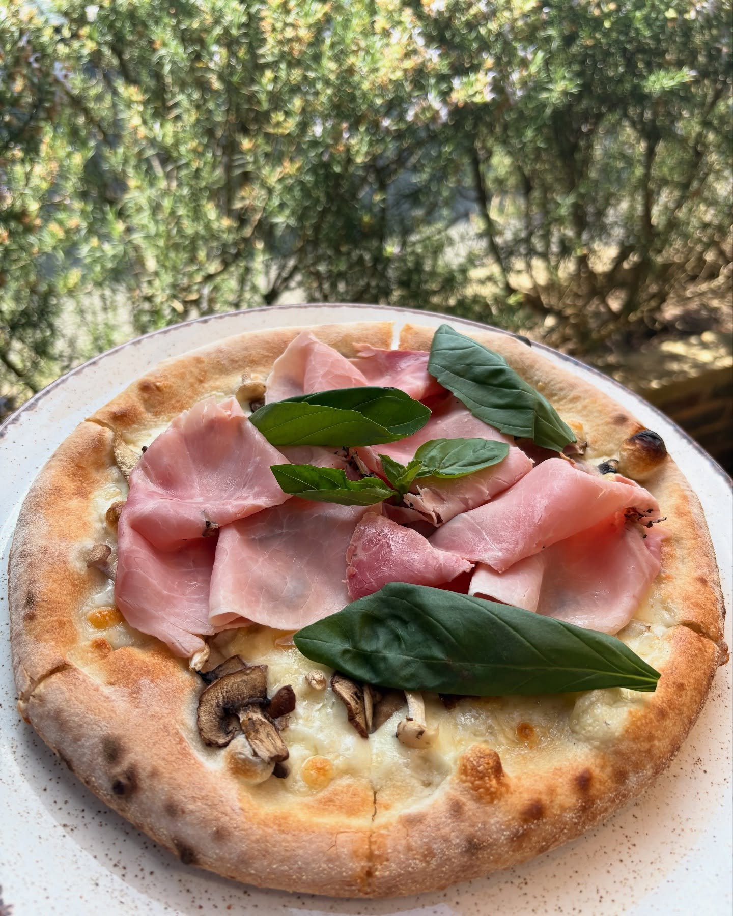 Pizza Tartufata with mozzarella, truffle Prosciutto Cotto, wild mushrooms and basil &hellip; 🍕 

#pizzaoftheweek #tartufata #italianfood #authenic #cucinaitaliana #prosciuttocotto #newforest #brockenhurst