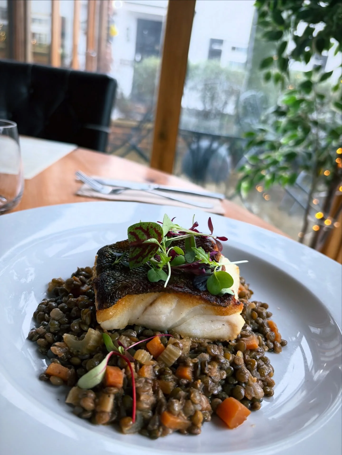 Merluzzo di Natalle -&gt; cod supreme served with black lentil stew 🍲 💫

#christmasspecial #codsupreme #merluzzo #natalle #christmas #festivevibes❤️ #fest&iuml;veseason #alberobrockenhurst #authetic #italian #restaurant #newforest #brockenhurst
