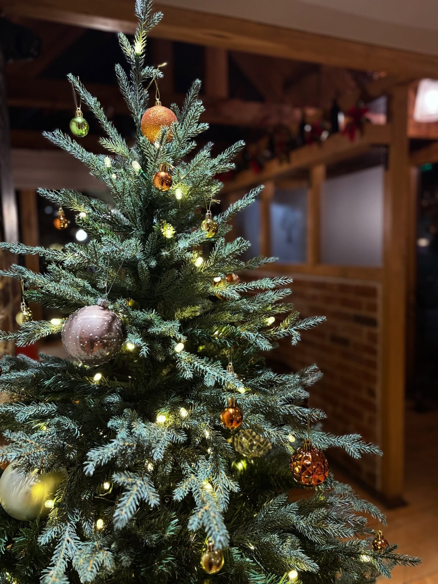 Sparkling, magical, warm Italian atmosphere @albero_brockenhurst 🥂🎄💫

Who is joining us this evening? 

#alberobrockenhurst #italianfood #authenticrestaurant #authentic #flavours #italy #brockenhurst #newforest #festive #festiveseason #festivefood