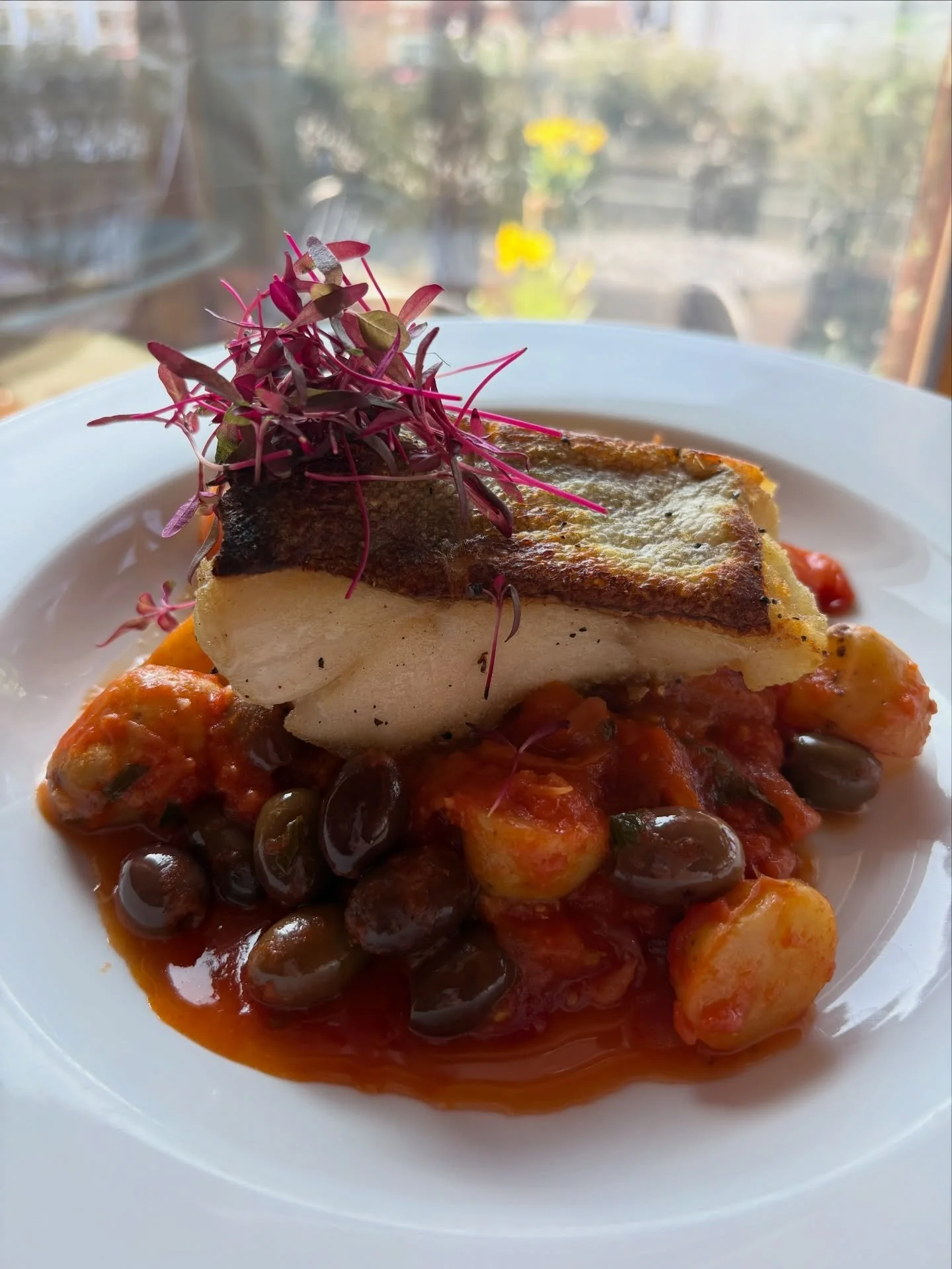 Baccala Mediteranea -> oven baked cod supreme with &lsquo;olive taggiasche&rsquo; and in tomato sauce cooked potatoes with onions, garlic and herbs 

#italianfood #authenticflavor #italianflavors #fish #special