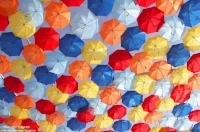 umbrellas.jpg