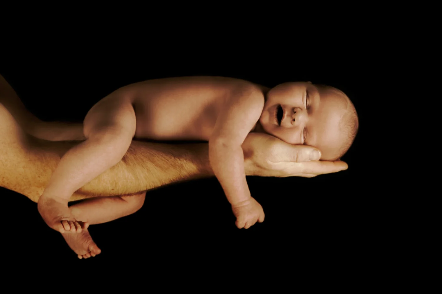 web-Baby.jpg