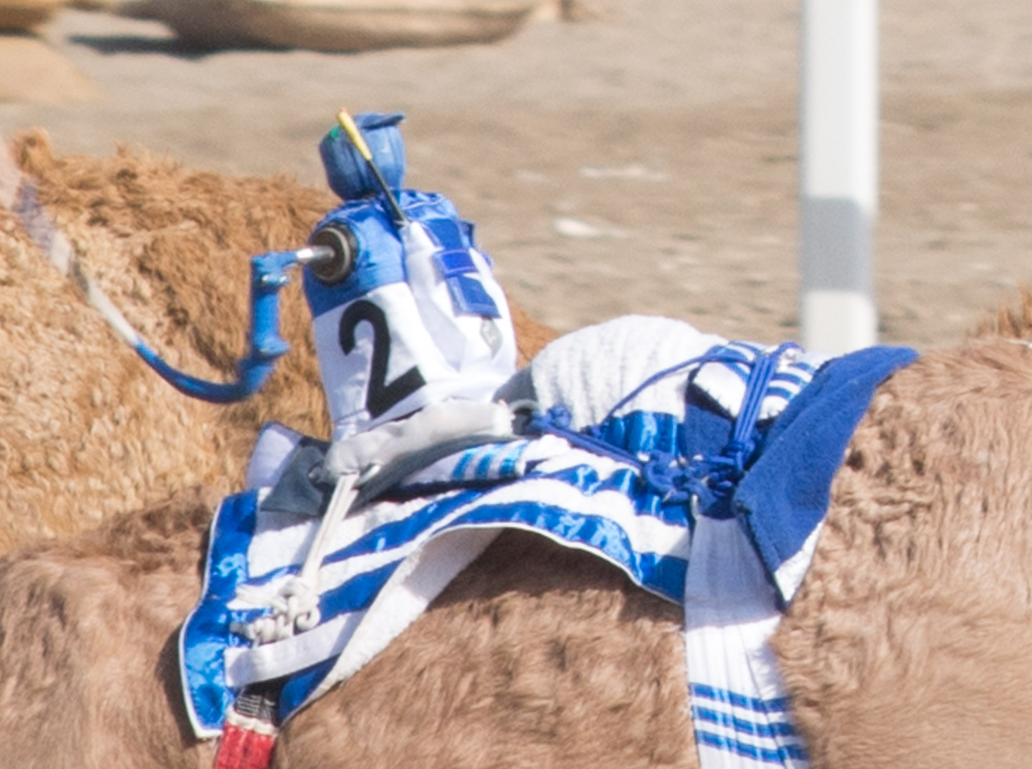 A tiny robotic rider.