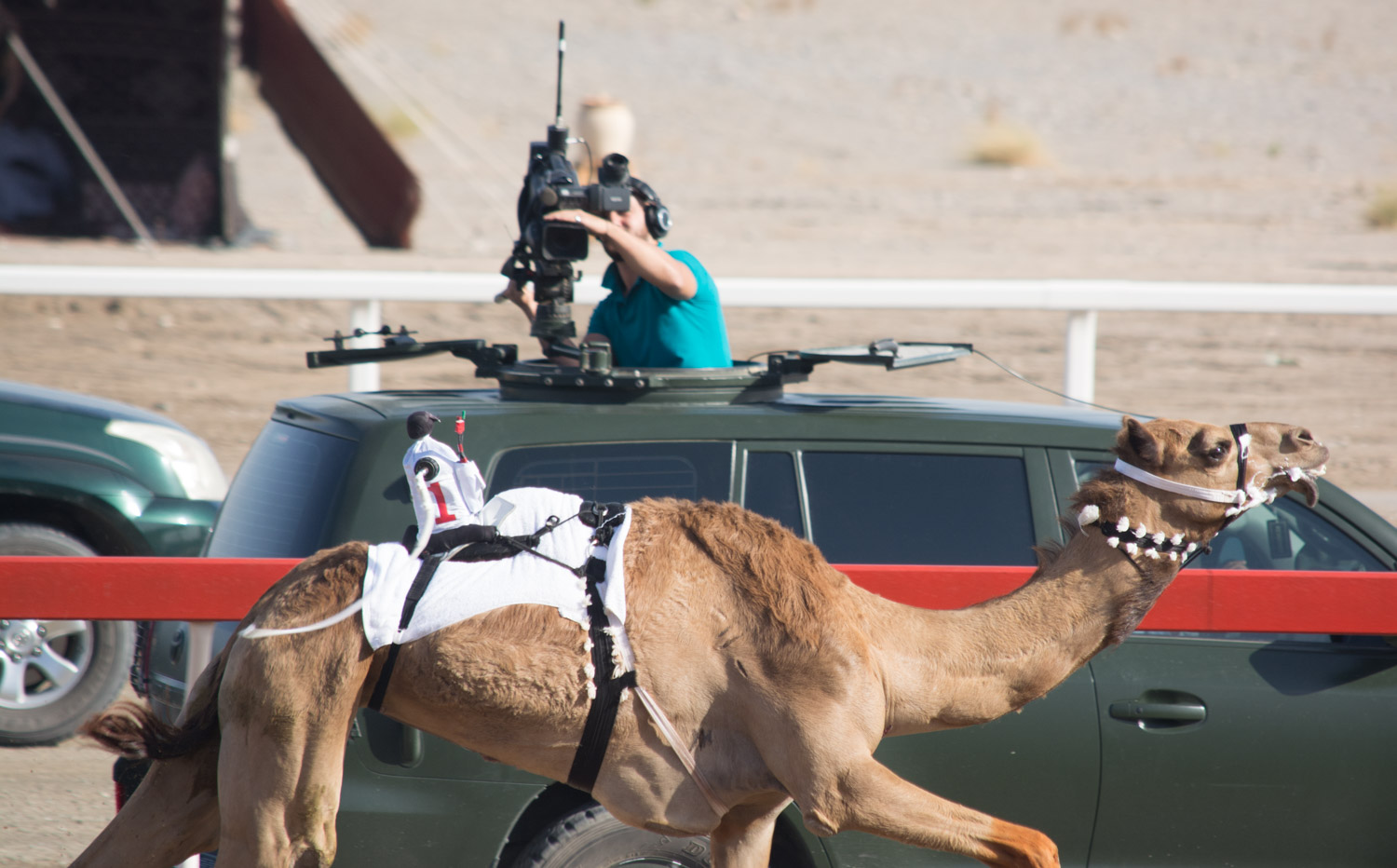 Each race begins kilometers away from the stands and live feed is the only way to watch a majority of the event.