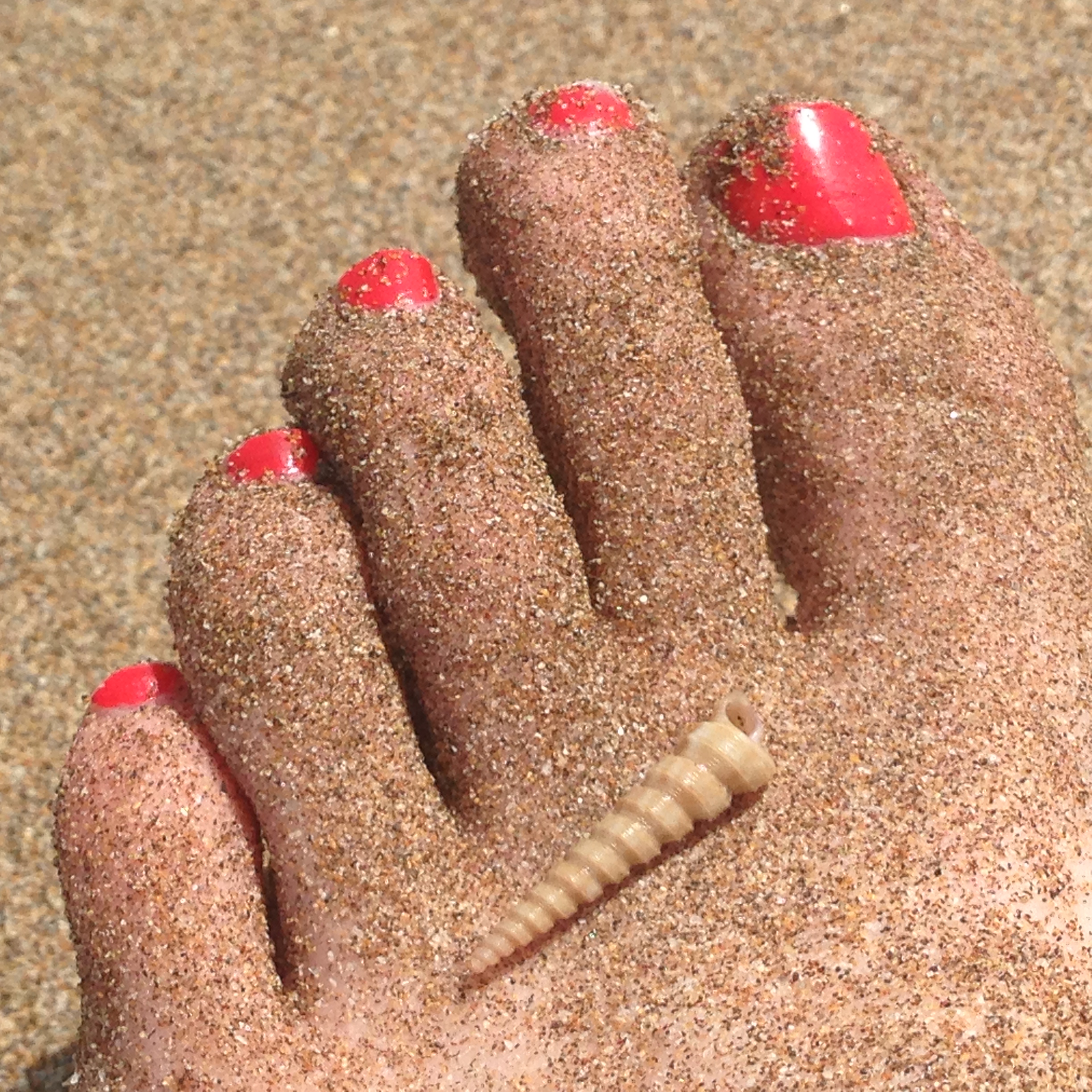 Playing in the sand