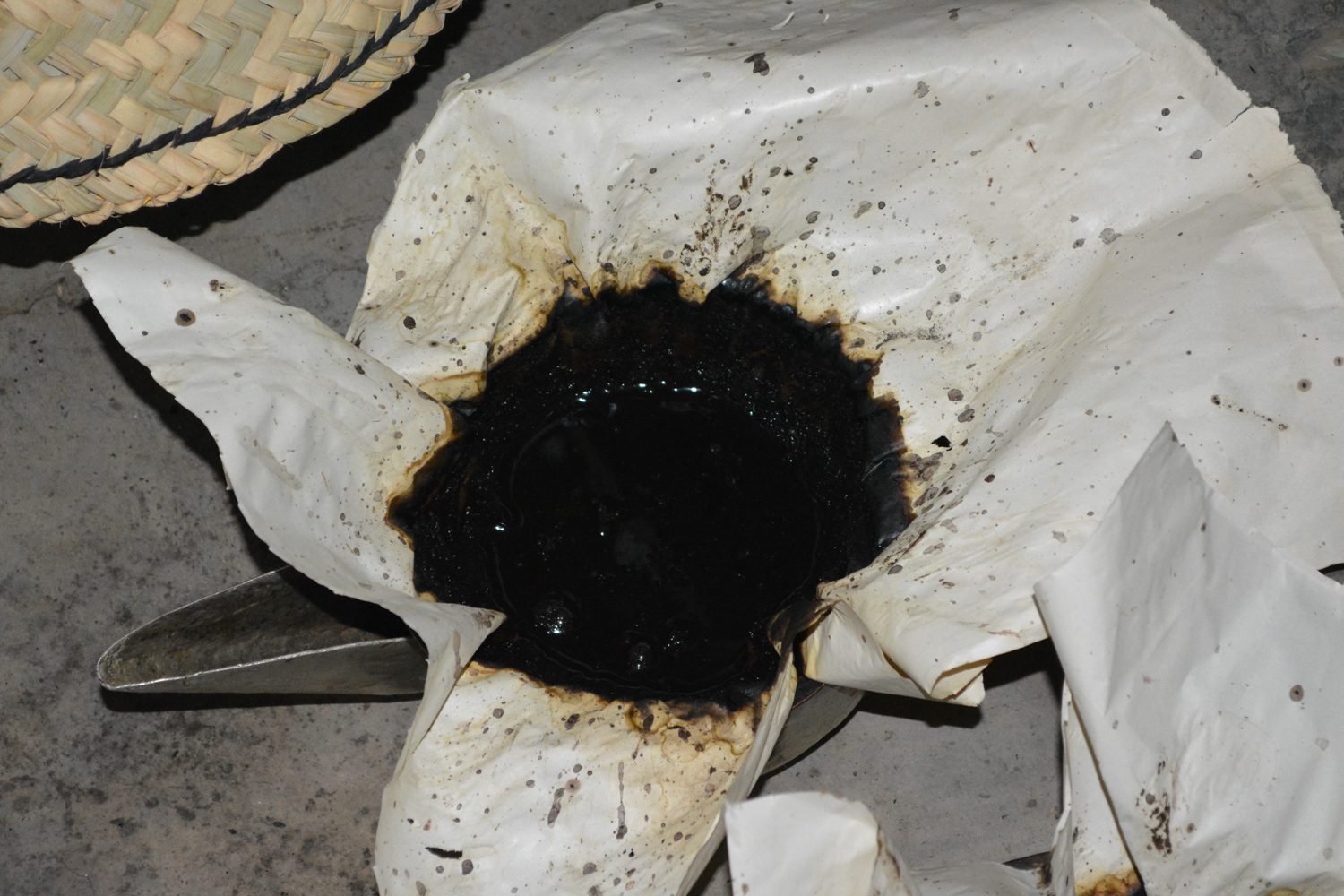 The thick black substance that settles out of the water.