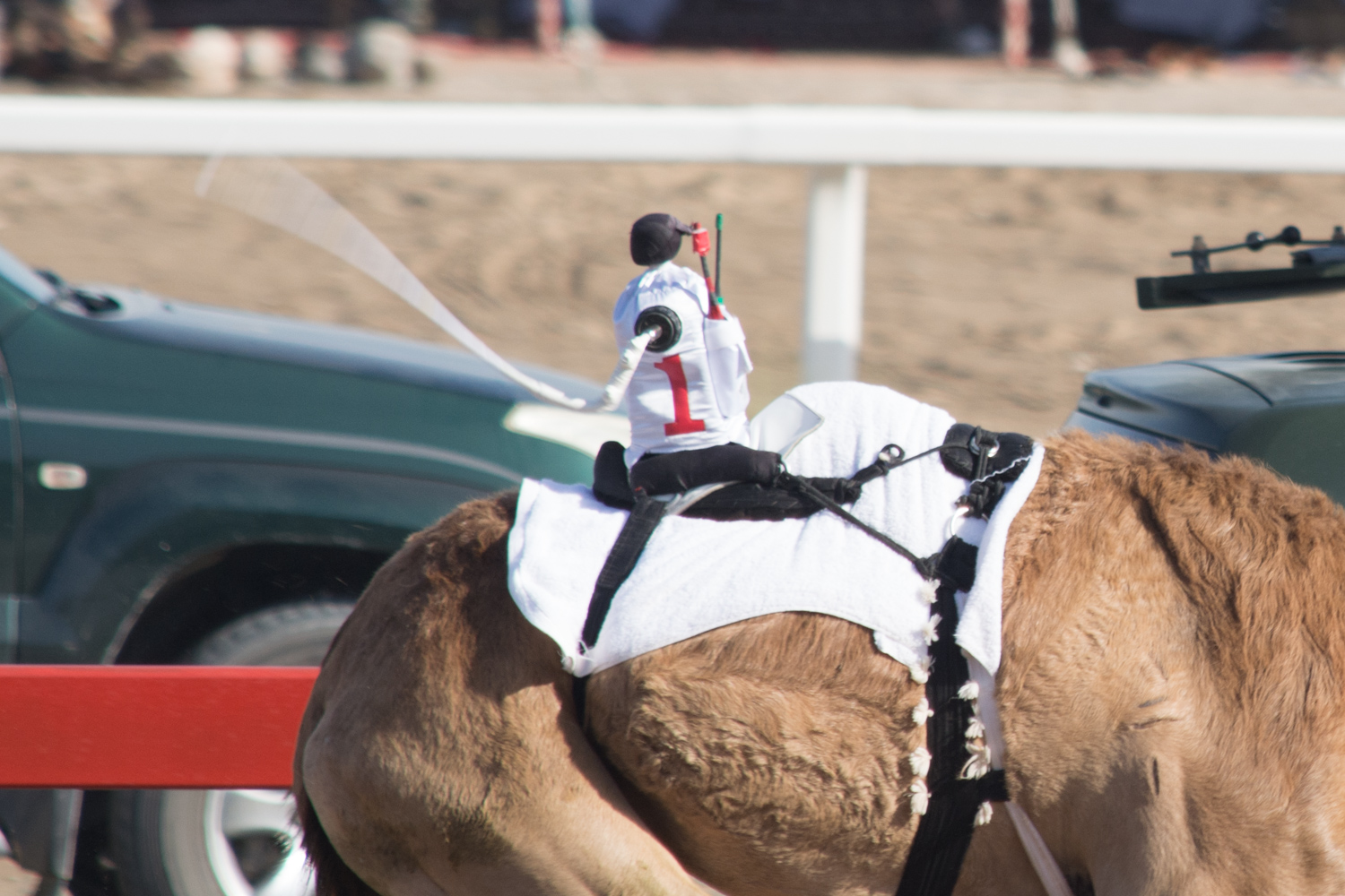 Adorable robotic rider.