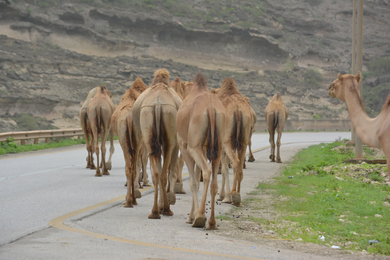Local traffic.