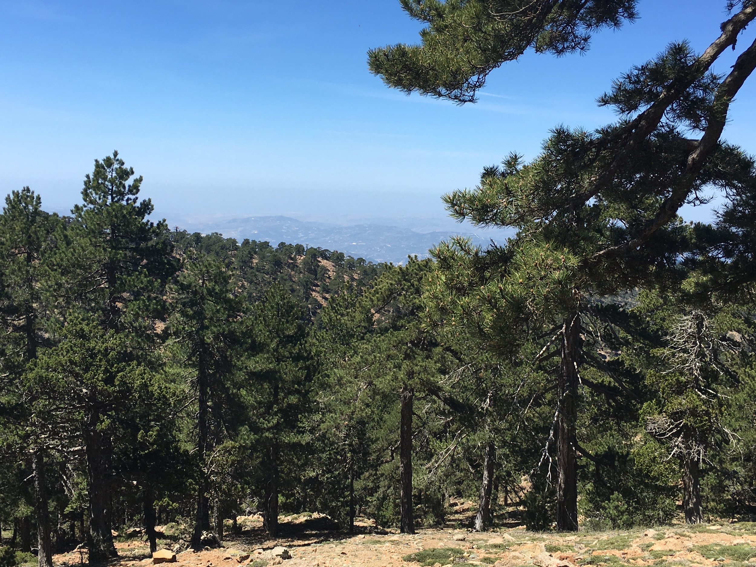 Troodos Mountains, Hike.