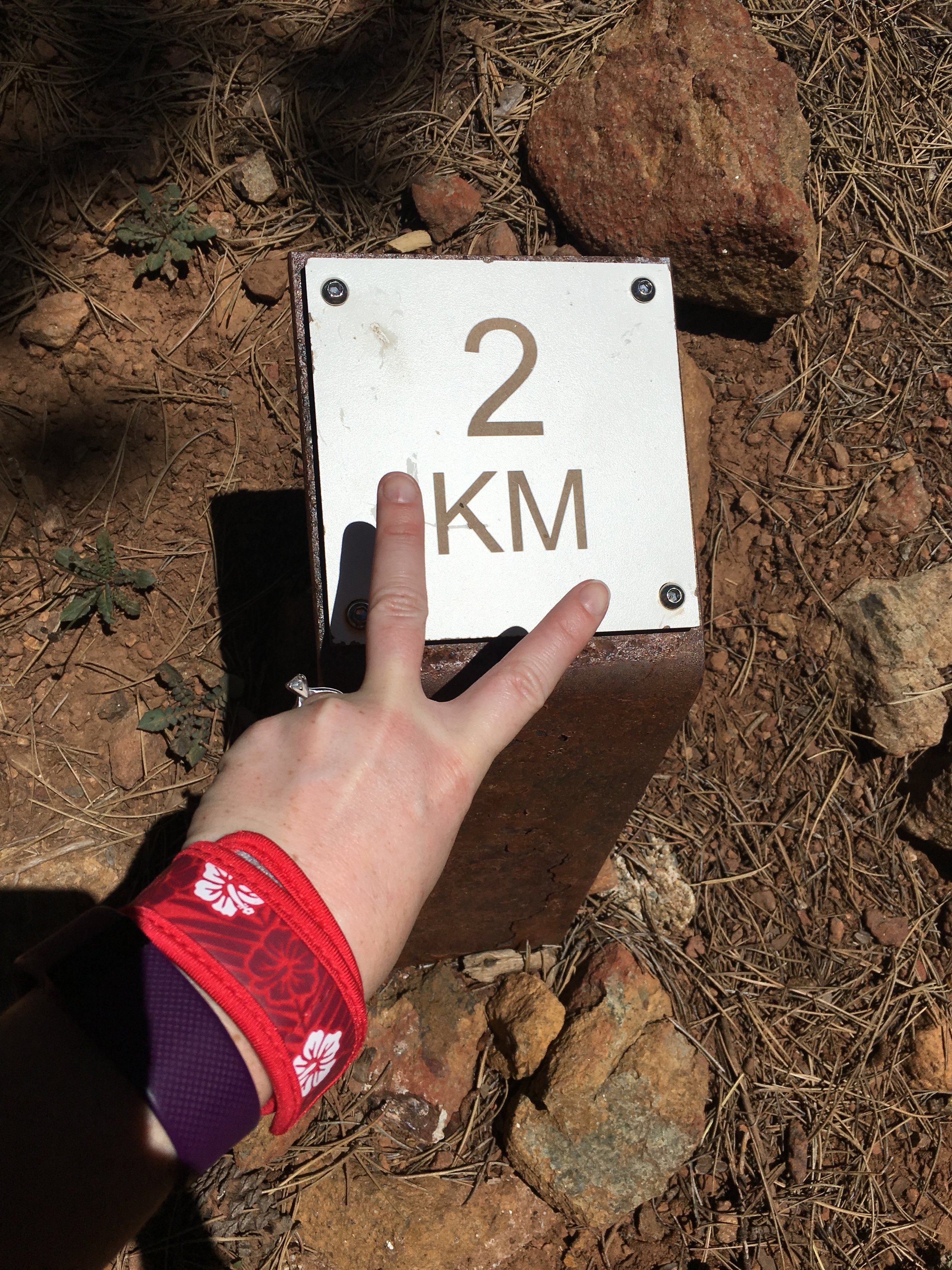Just got started on this hike. Glad someone is counting the km.