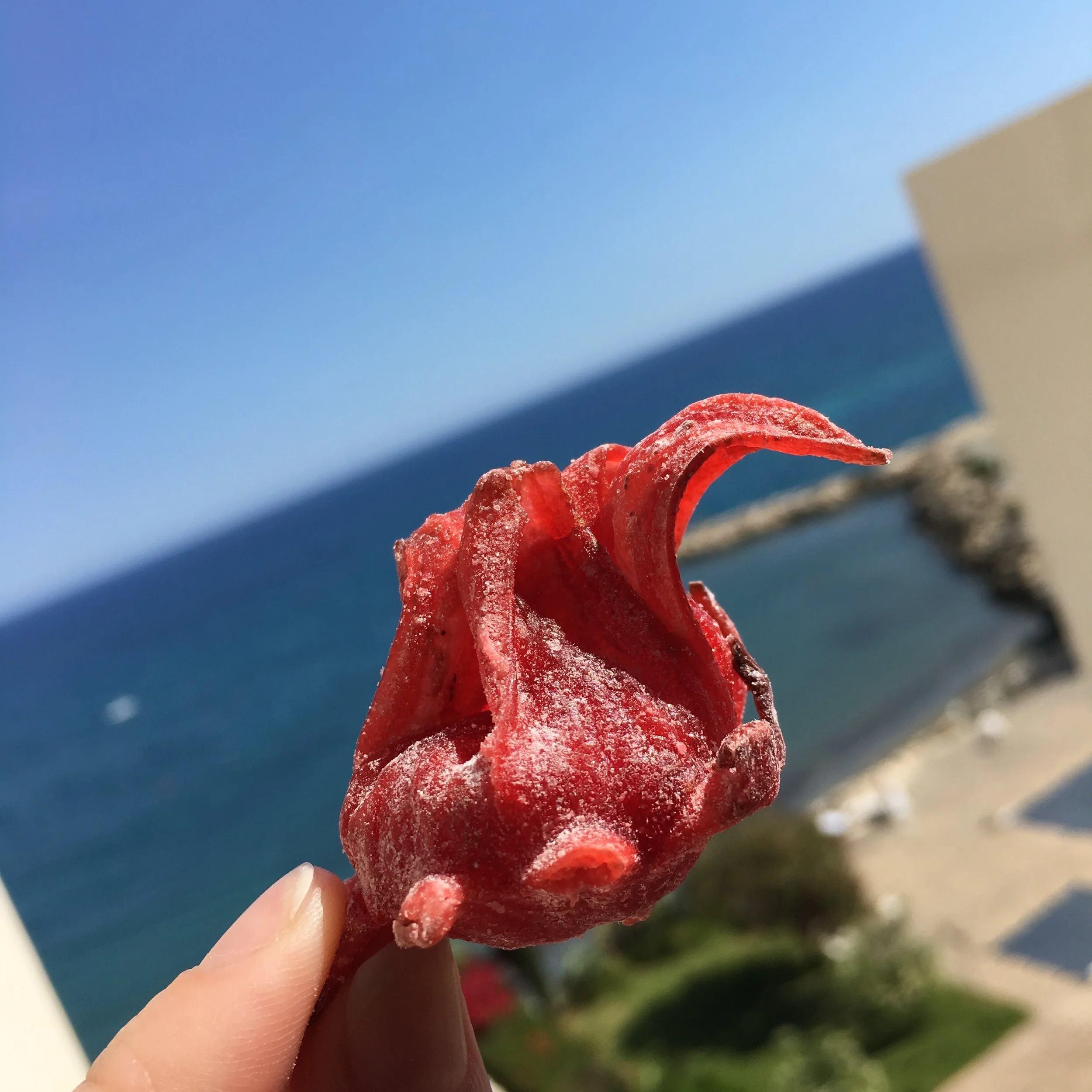 They say it is dried hibiscus. #TastesLikeCandy