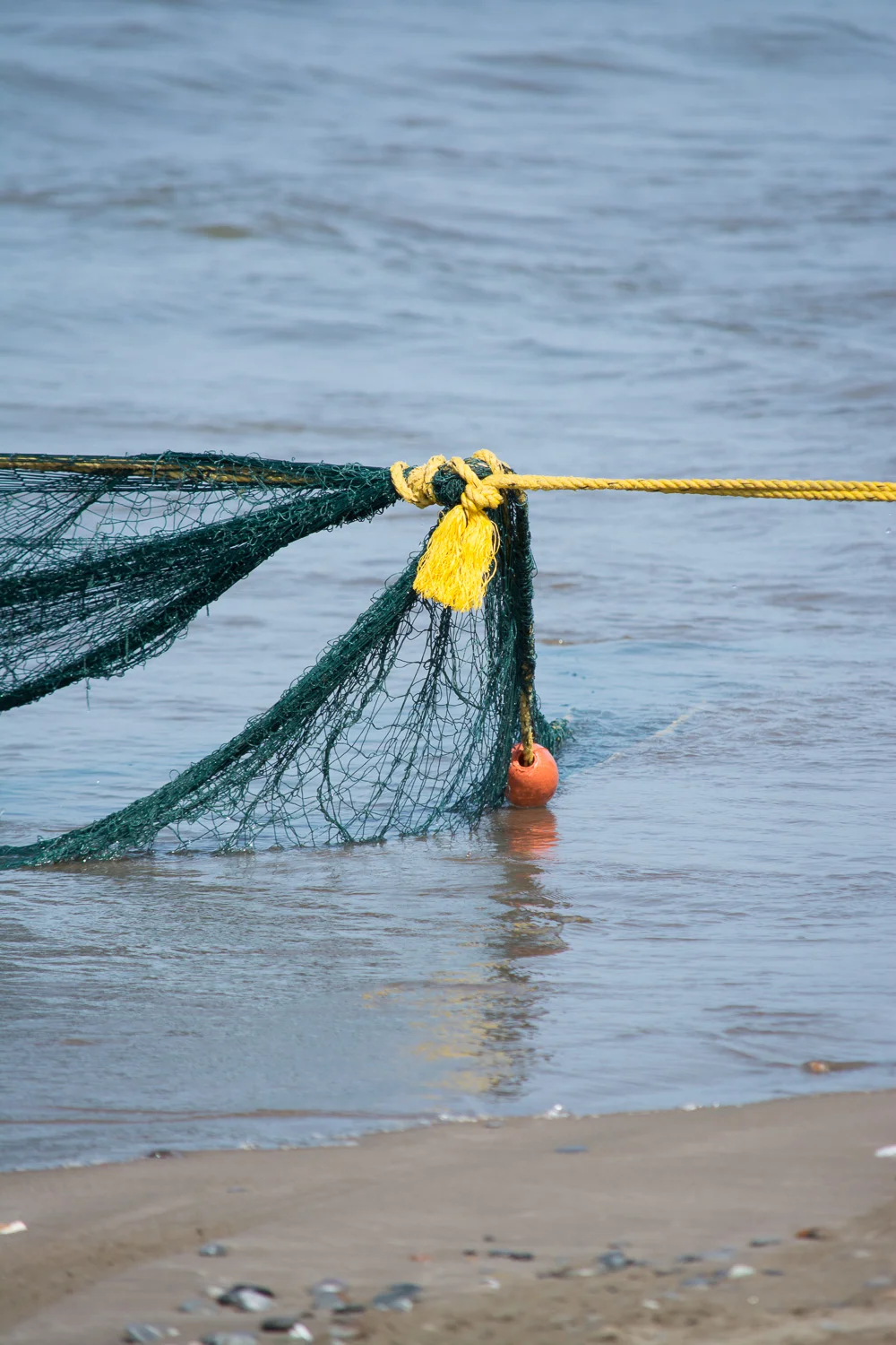 The haul rope attached to the net.