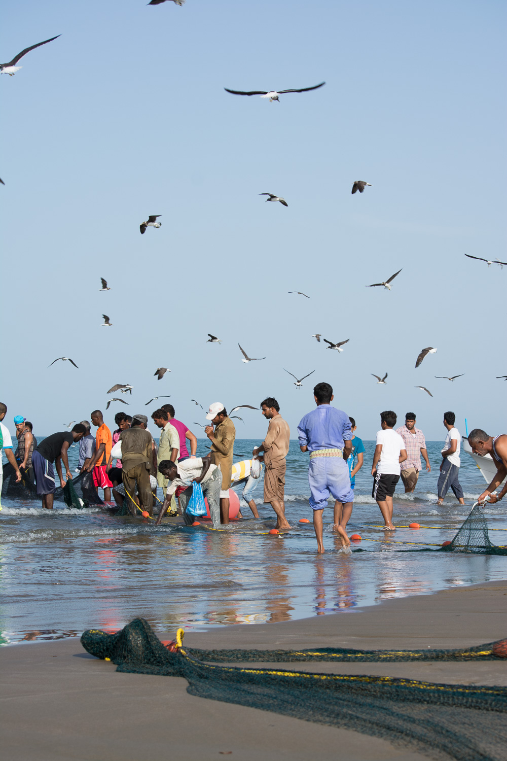 The community gathering fish along the net.