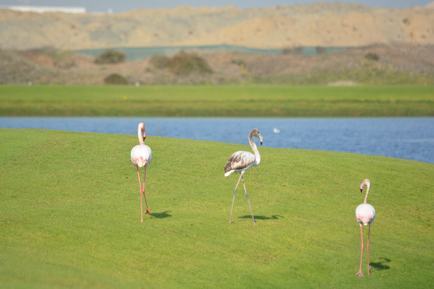 Surroundings. Oman is simply a stop along the journey.