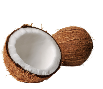 The Coconut Story