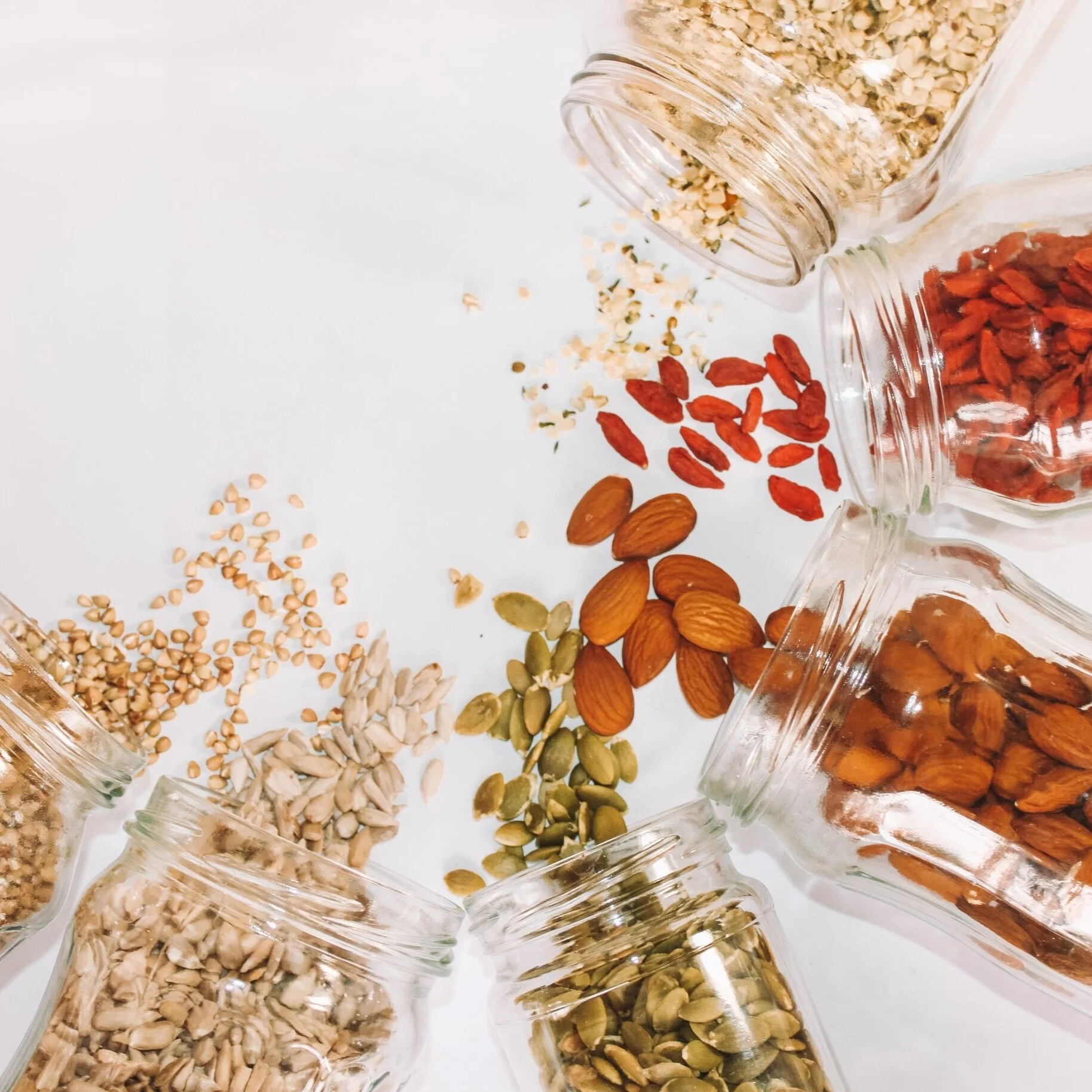 Our Vegan Nutrition Tips