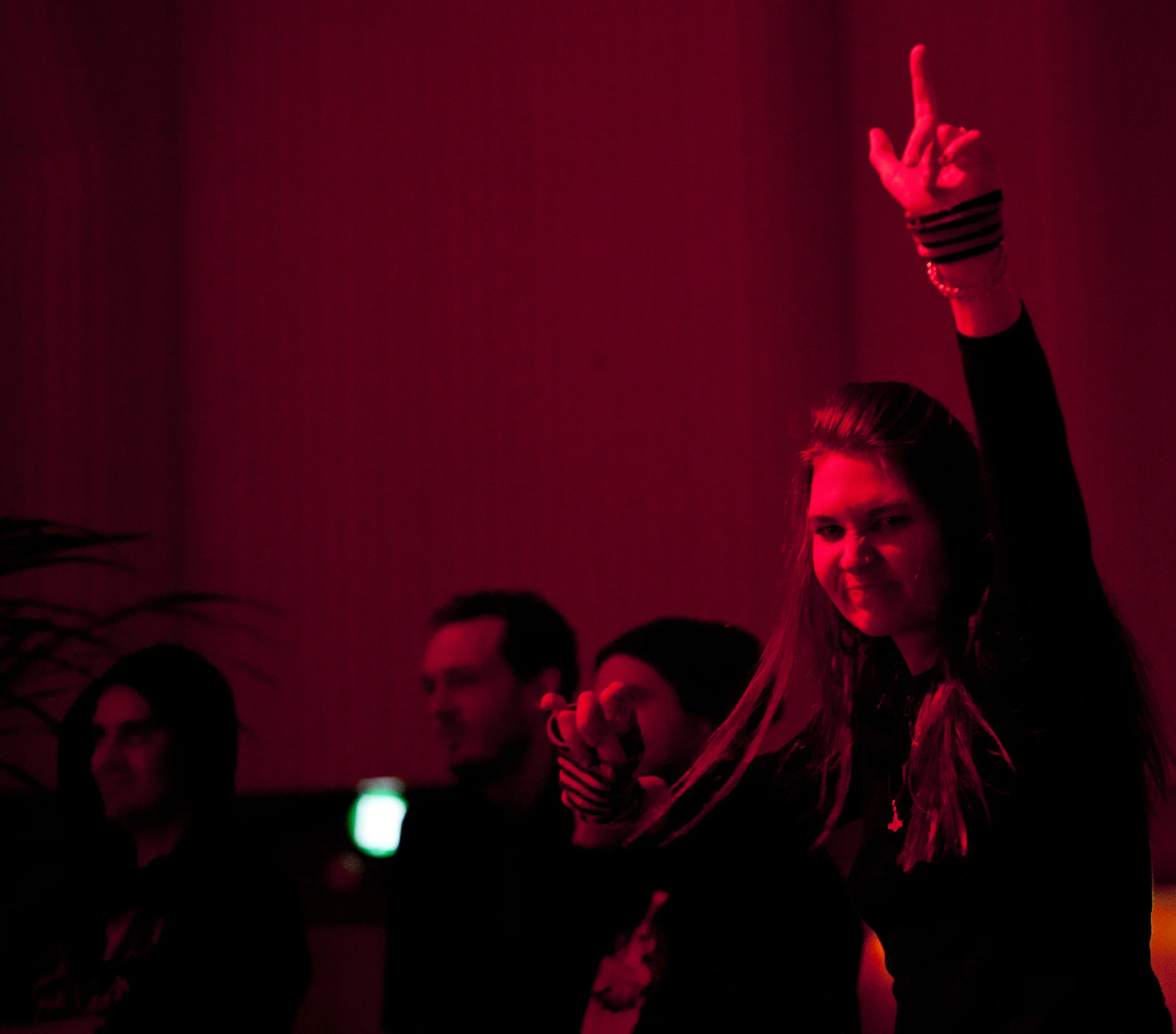 6.SWANS_Crowd_#1 kopi.jpg