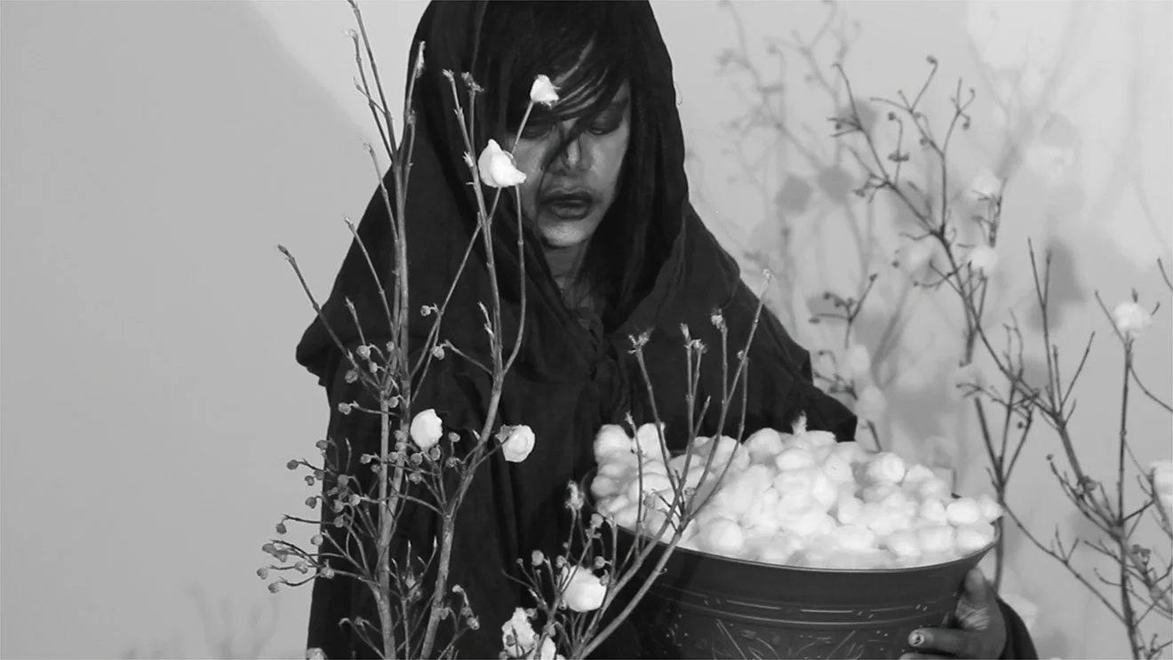 M-Lamar-2.jpg