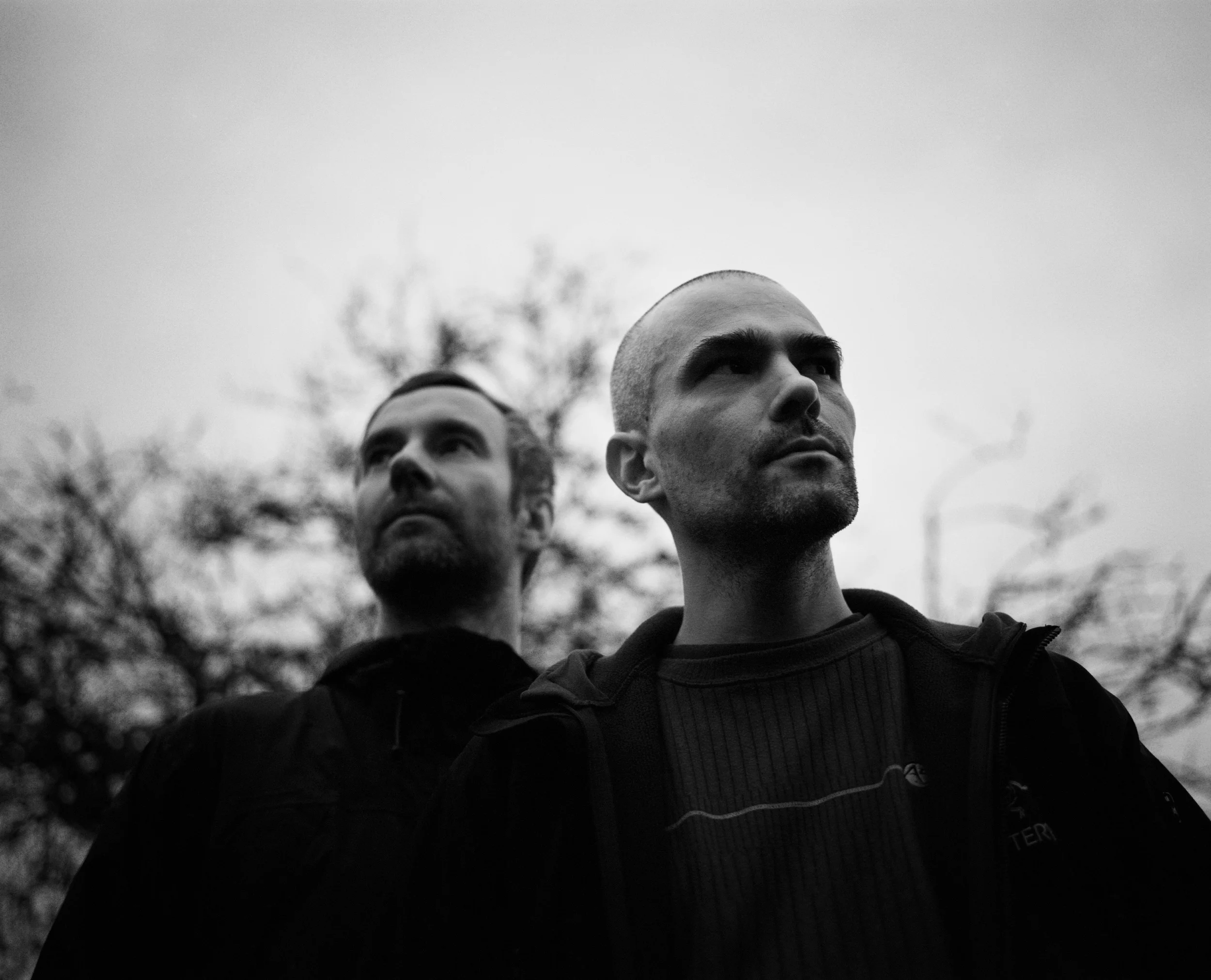 autechre_tree1 (1).jpg