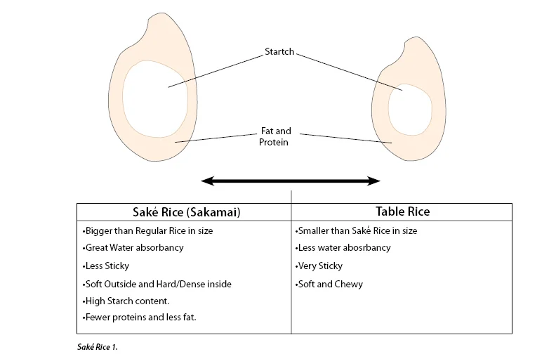 How is sake rice different from table rice? — MTC Sake Japanese