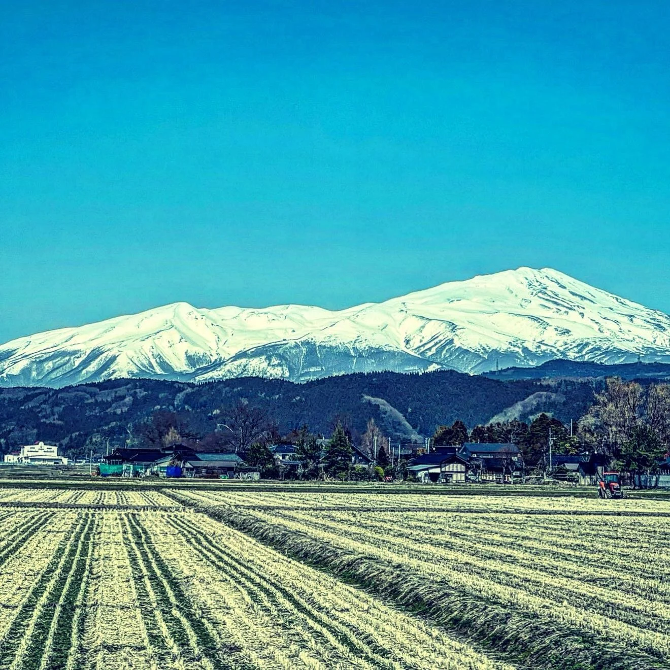 Kissui Vodka — MTC Sake Japanese Beverage Distributor