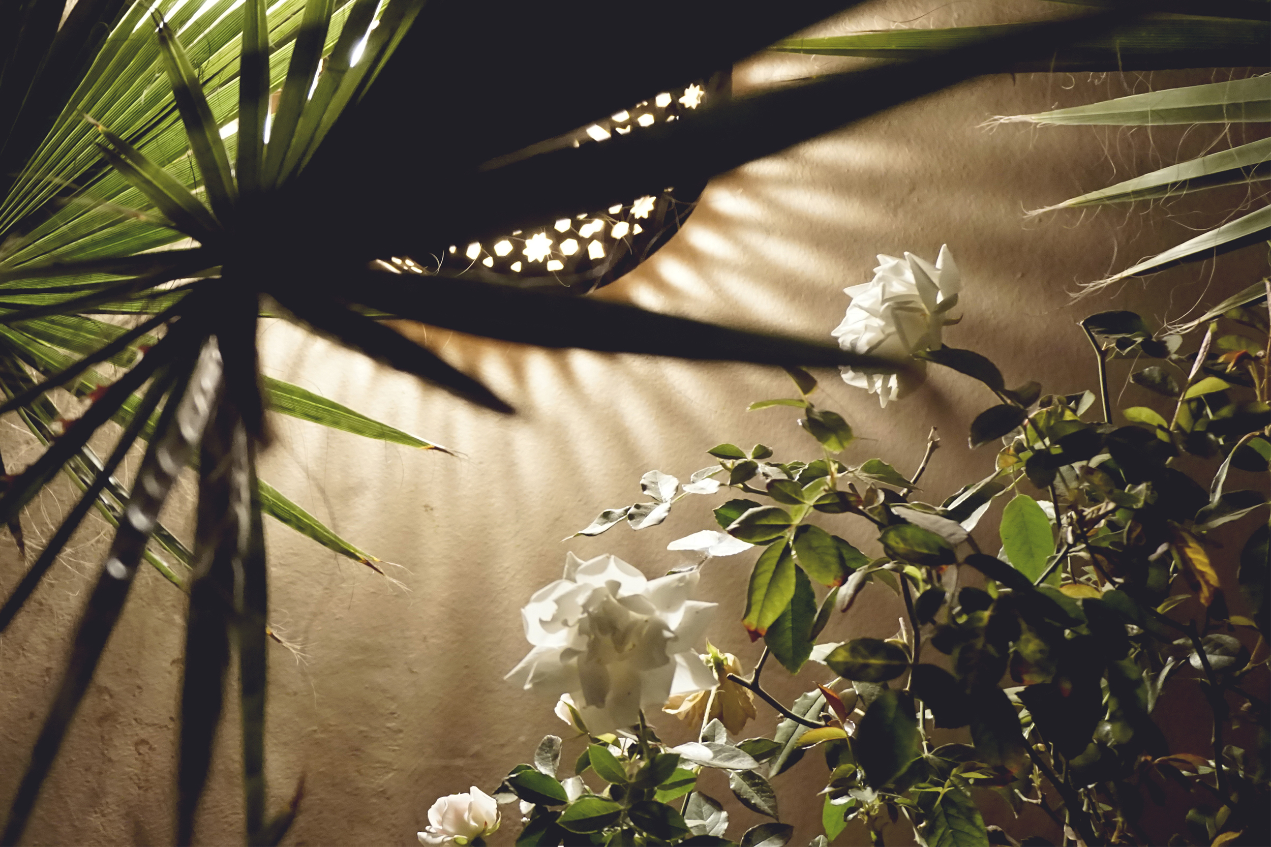 Rooftop terrace, Riad 107, the Medina of Marrakech, Morocco