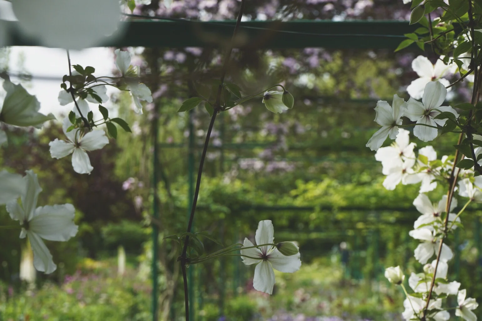 Giverny, Monet's Gardens, France