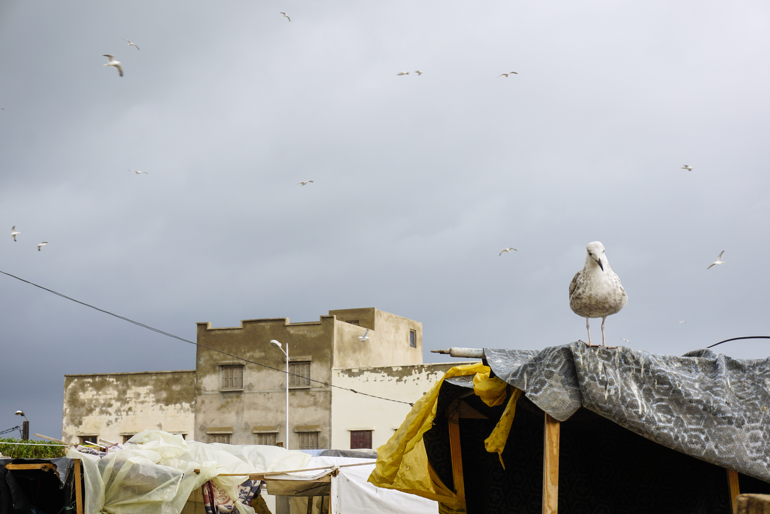 moment_DSC3378.jpg