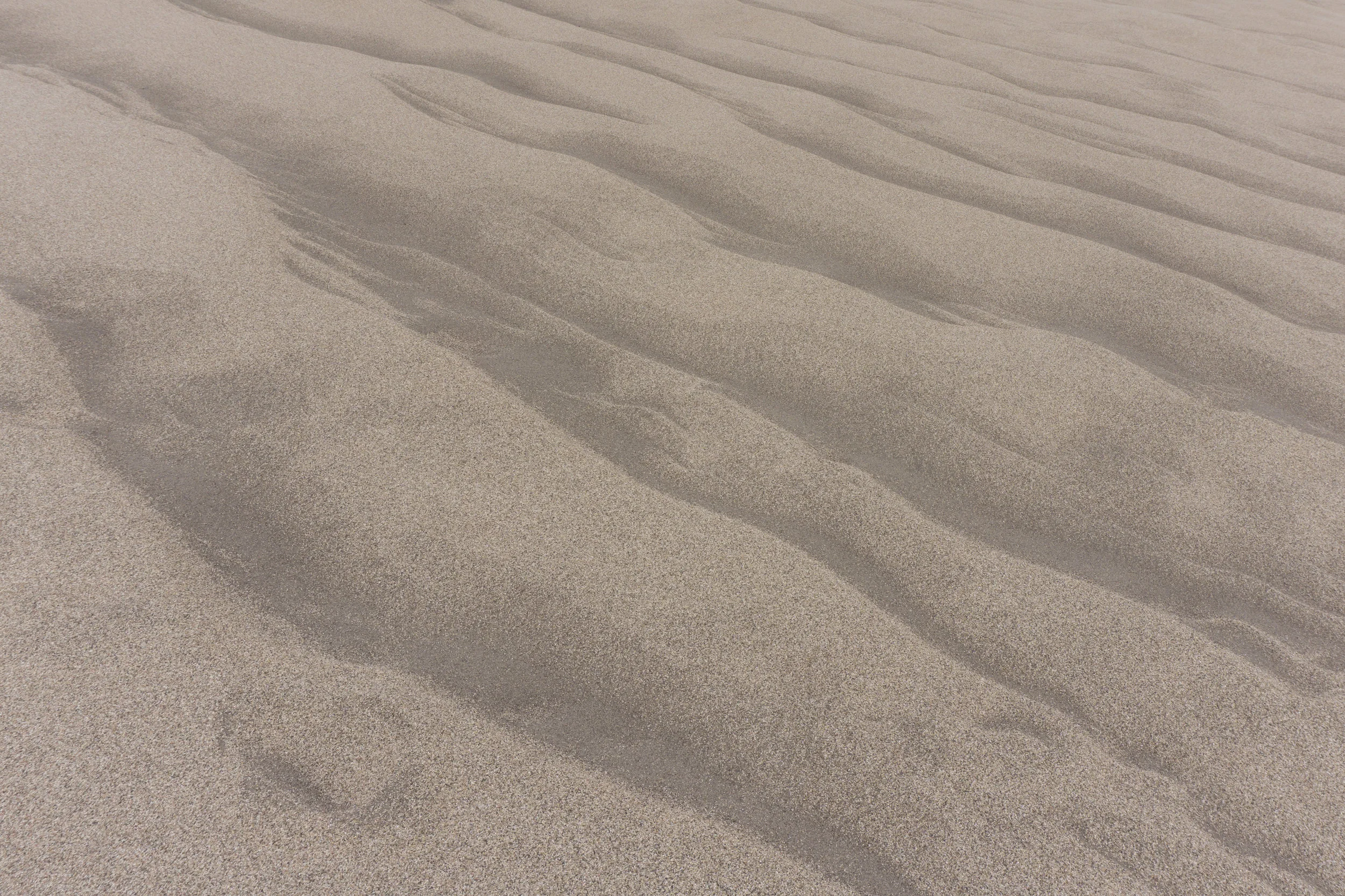 Endless Sand Texture