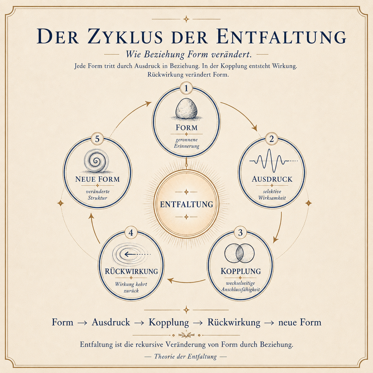Entfaltungszyklus.png