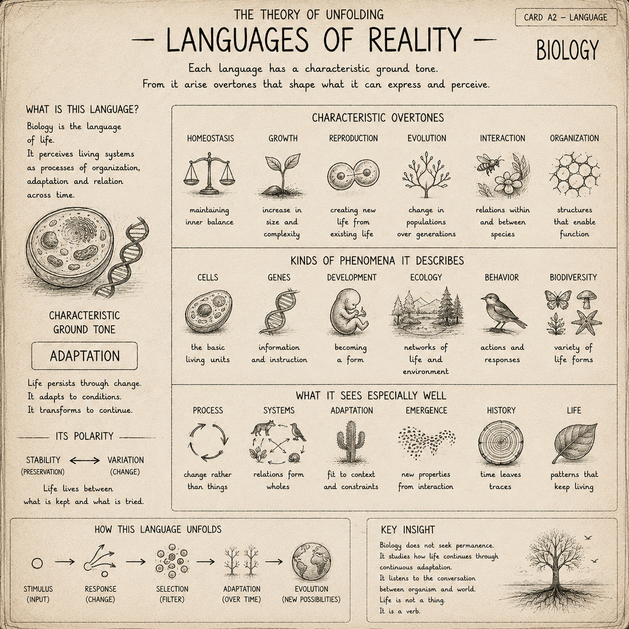 EA0BA368-BAED-4A89-AE0D-3772A4CE3394.png