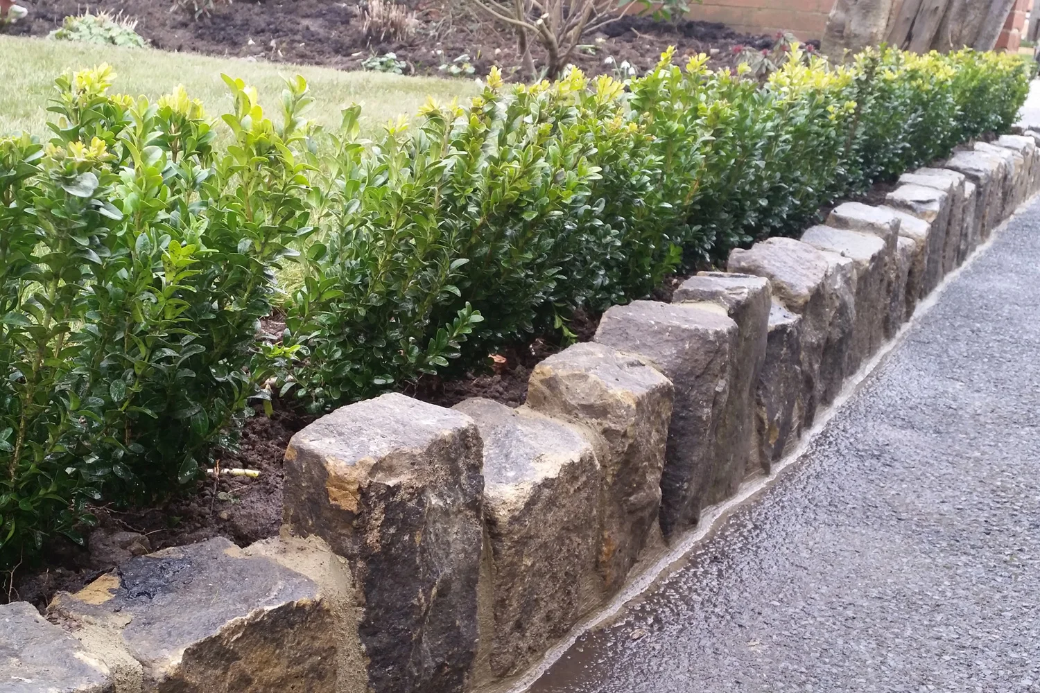 kerb-appeal-planting01.jpg