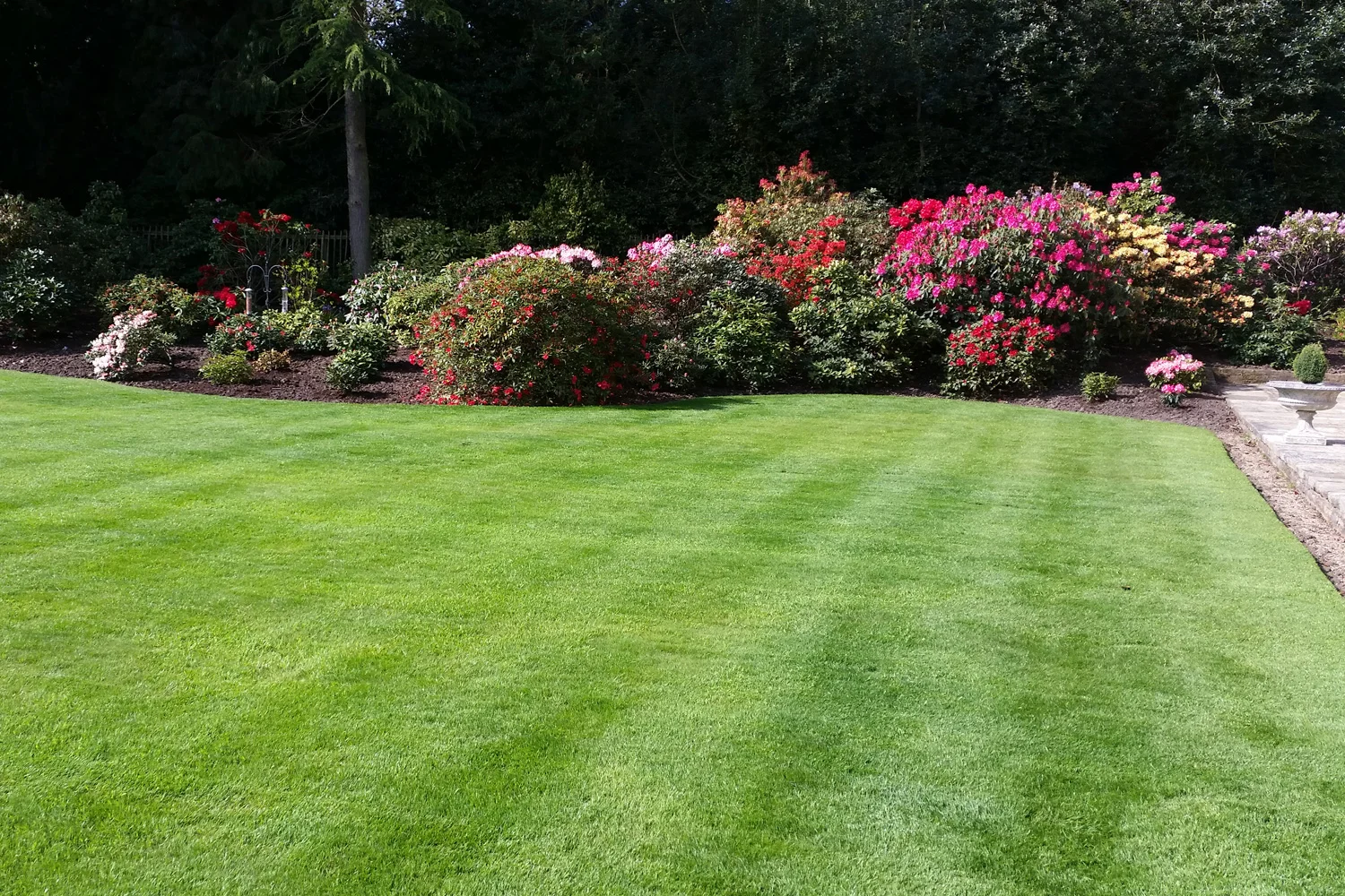 kerb-appeal-planting04.jpg