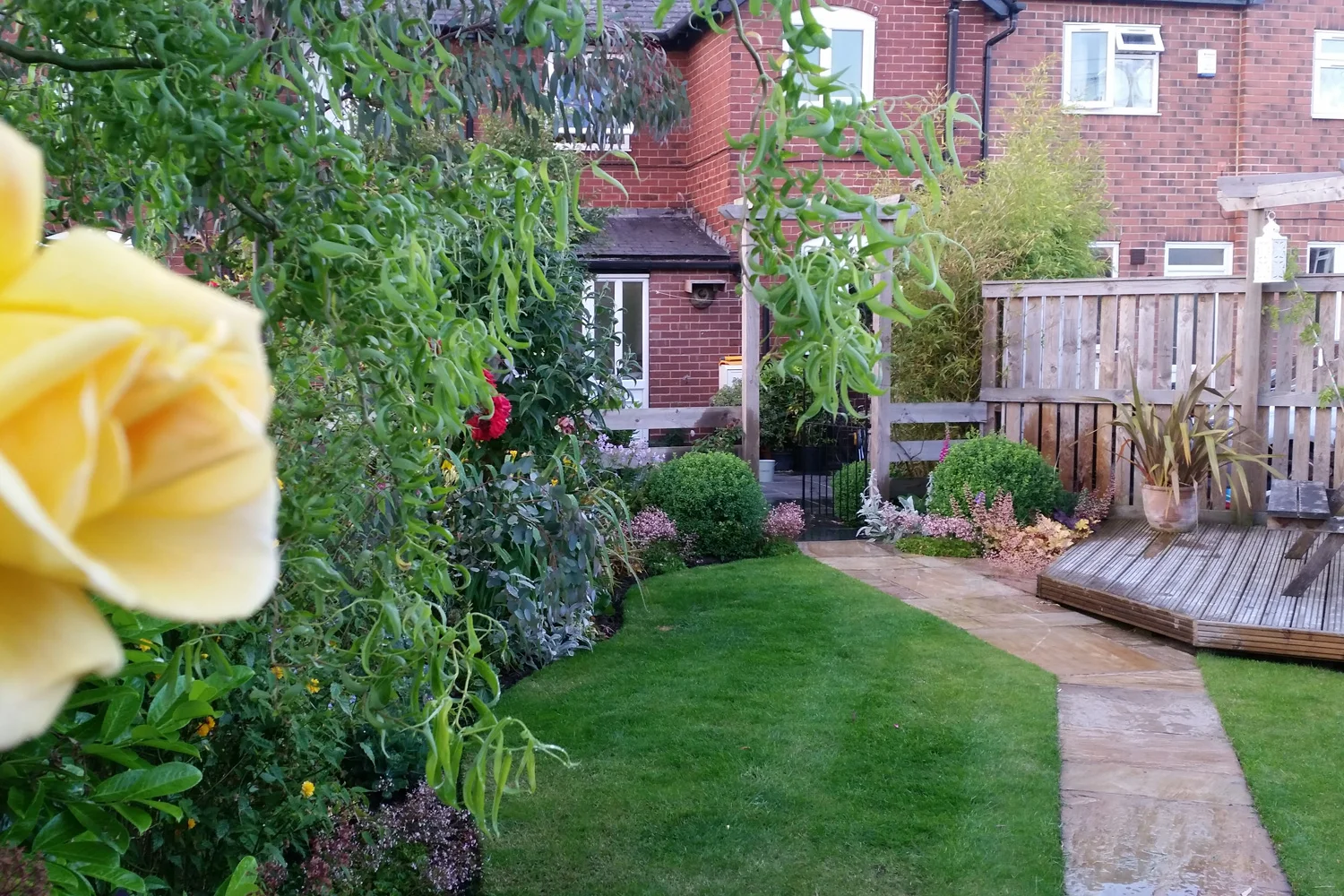 kerb-appeal-planting07.jpg