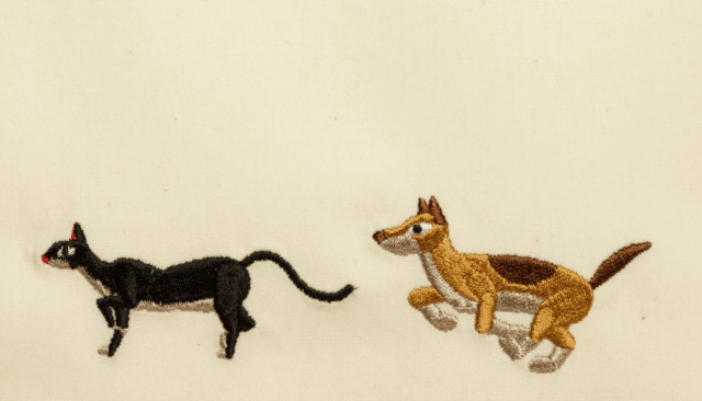 019.gif
