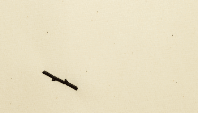 029.gif