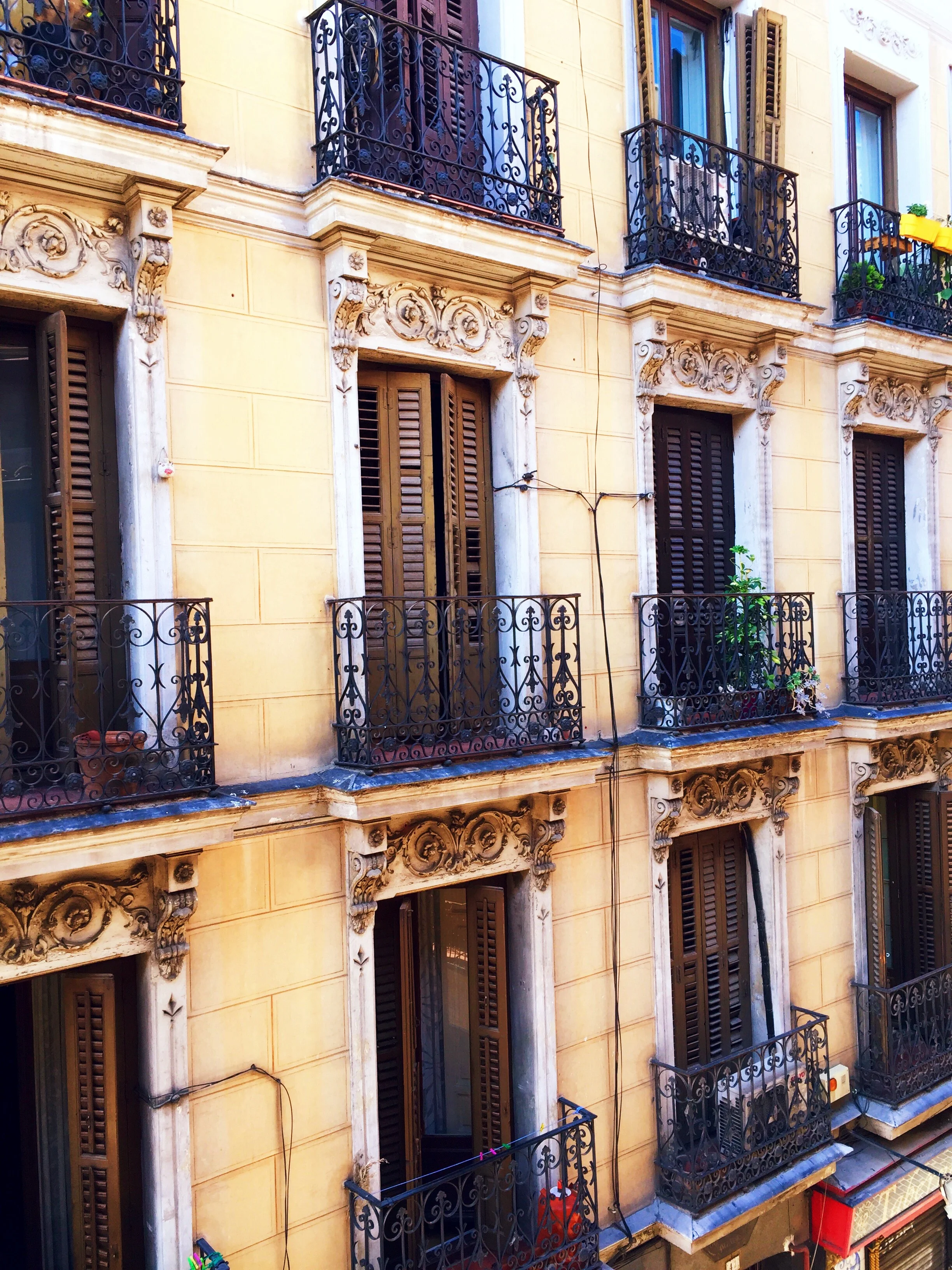 La vista fuera de mi ventana.