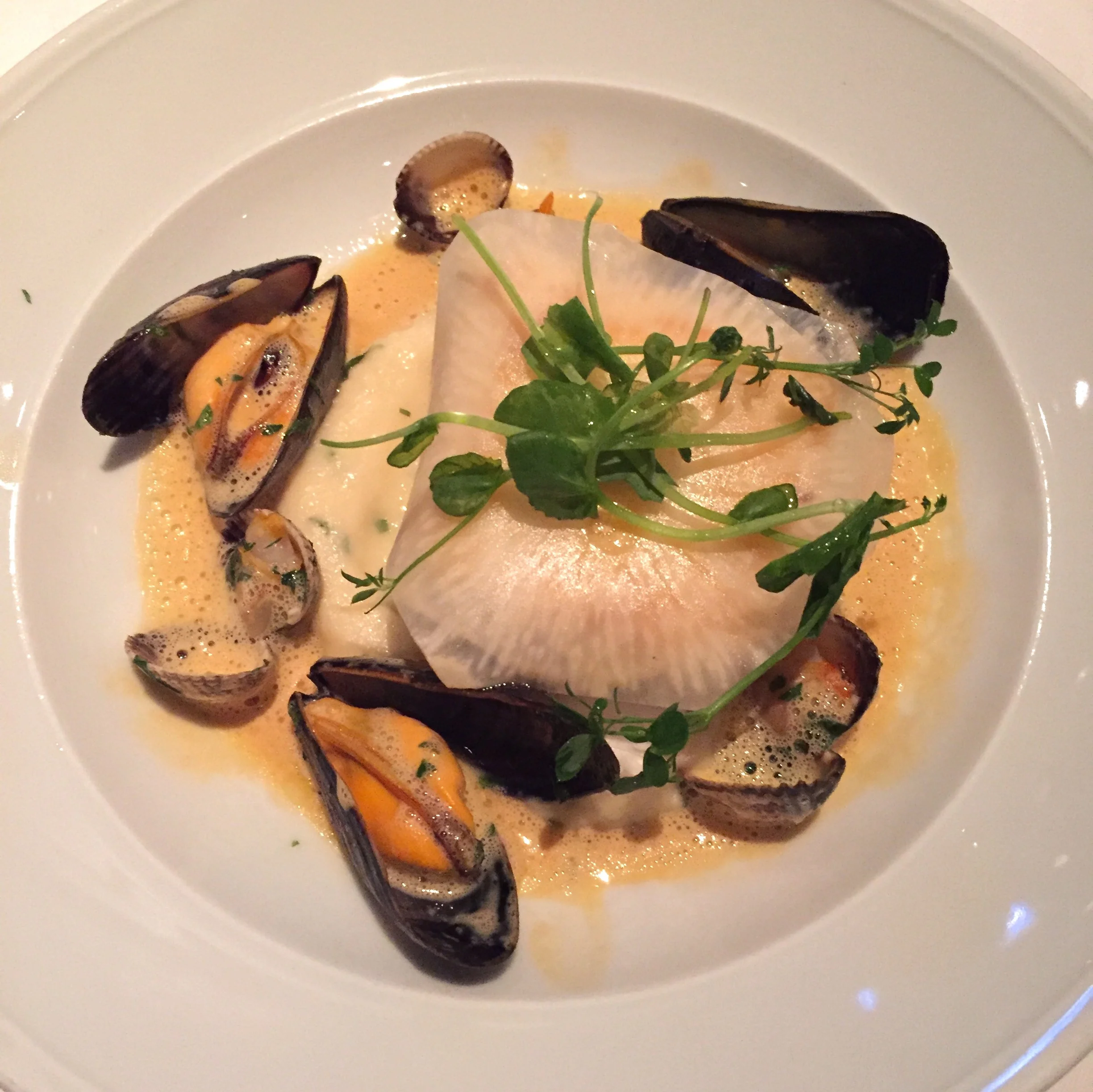Halibut