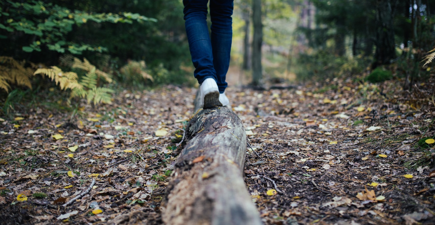 hike.jpg